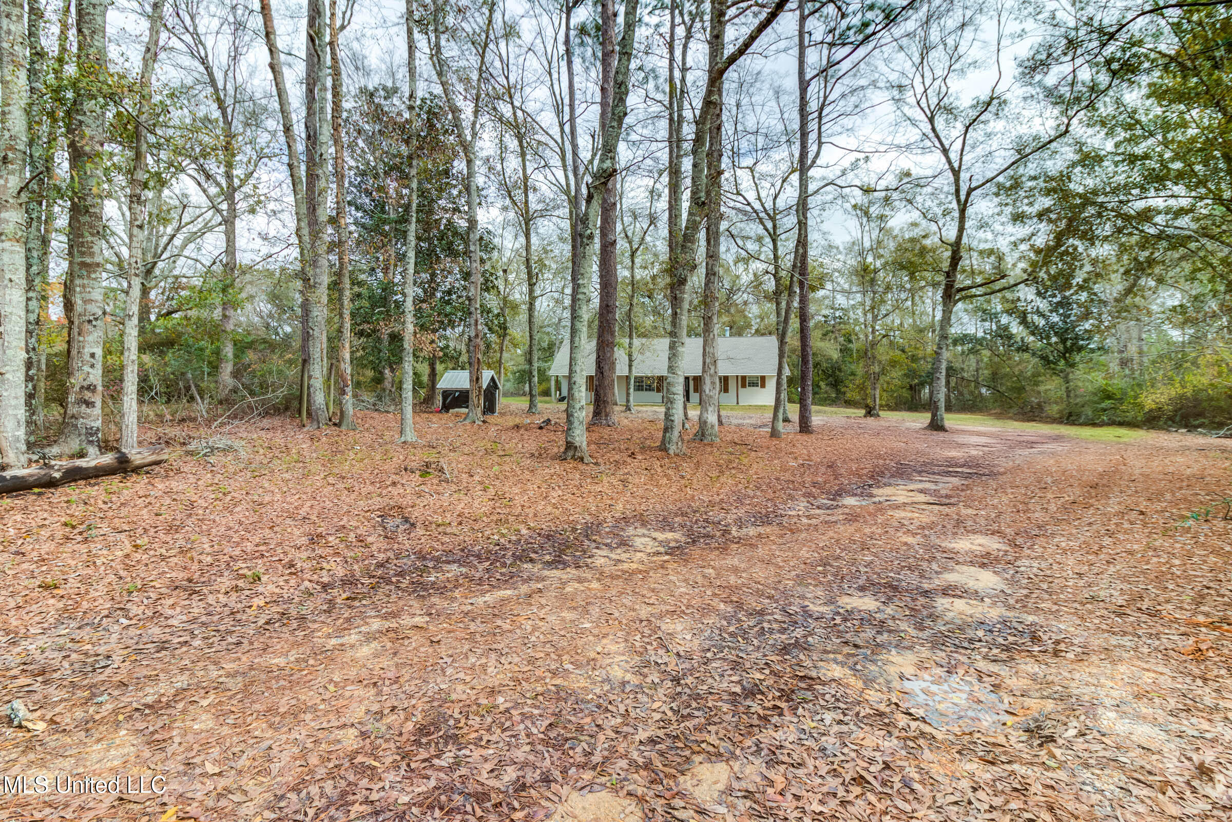 12522 Wolf River Road Property Photo 41