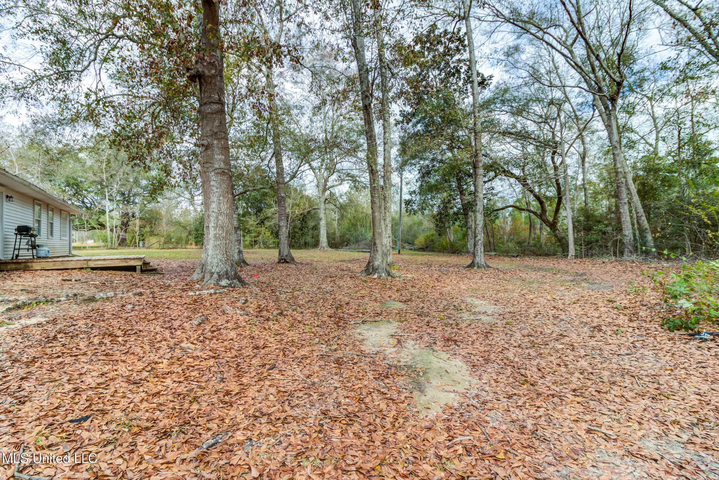 12522 Wolf River Road Property Photo 42