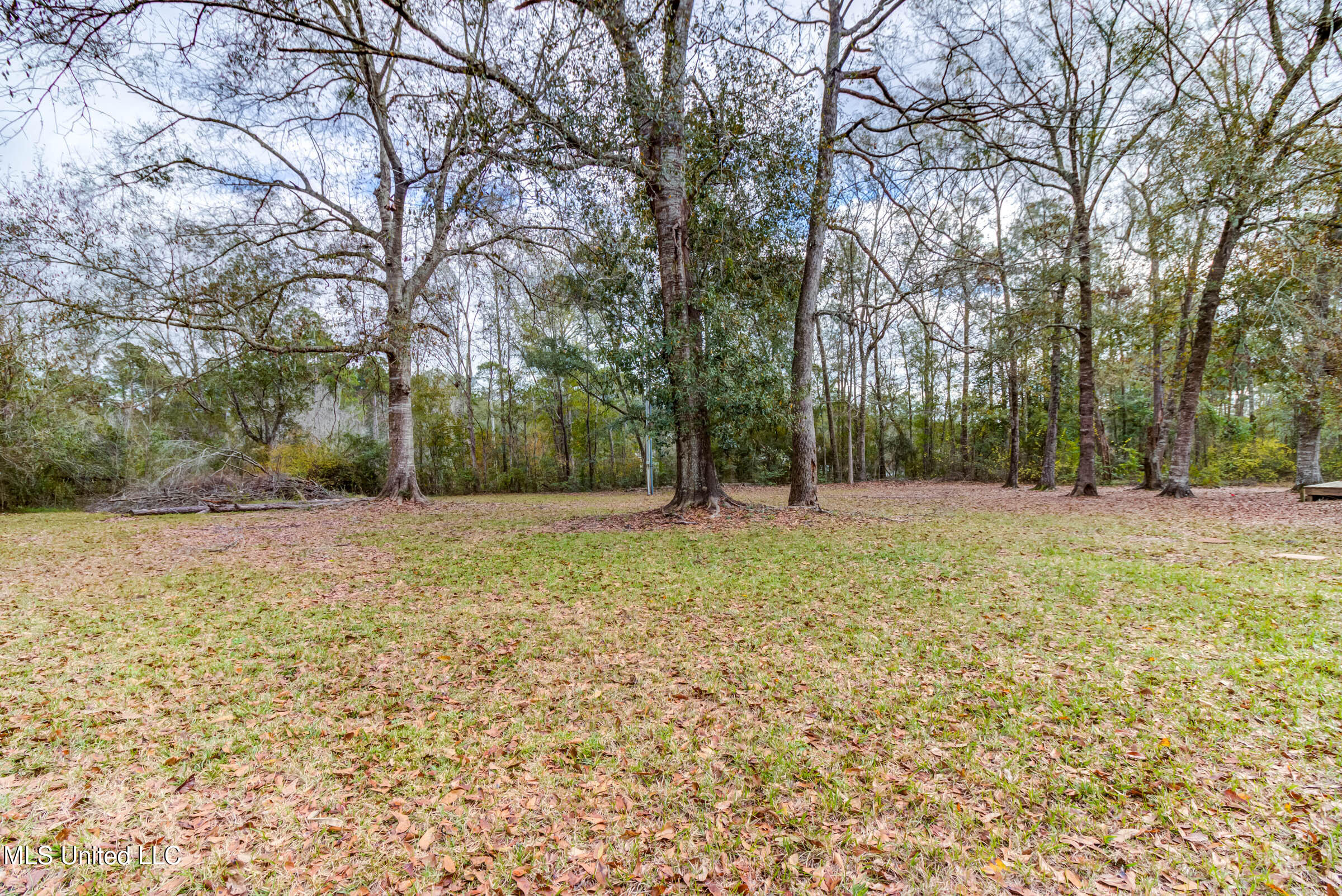 12522 Wolf River Road Property Photo 46