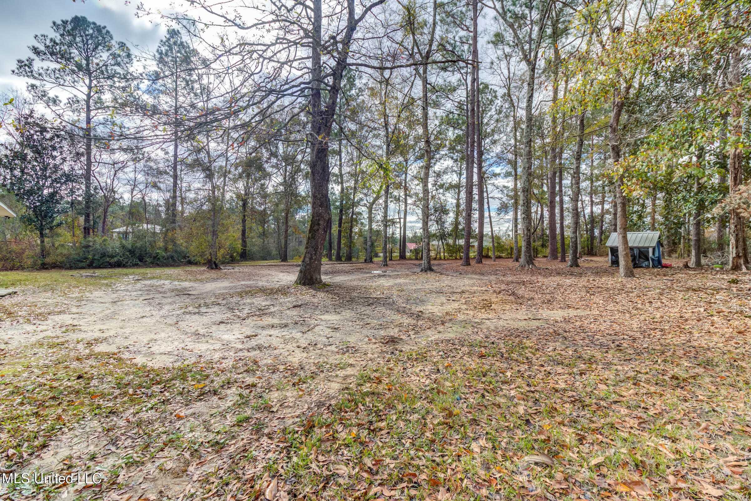12522 Wolf River Road Property Photo 47