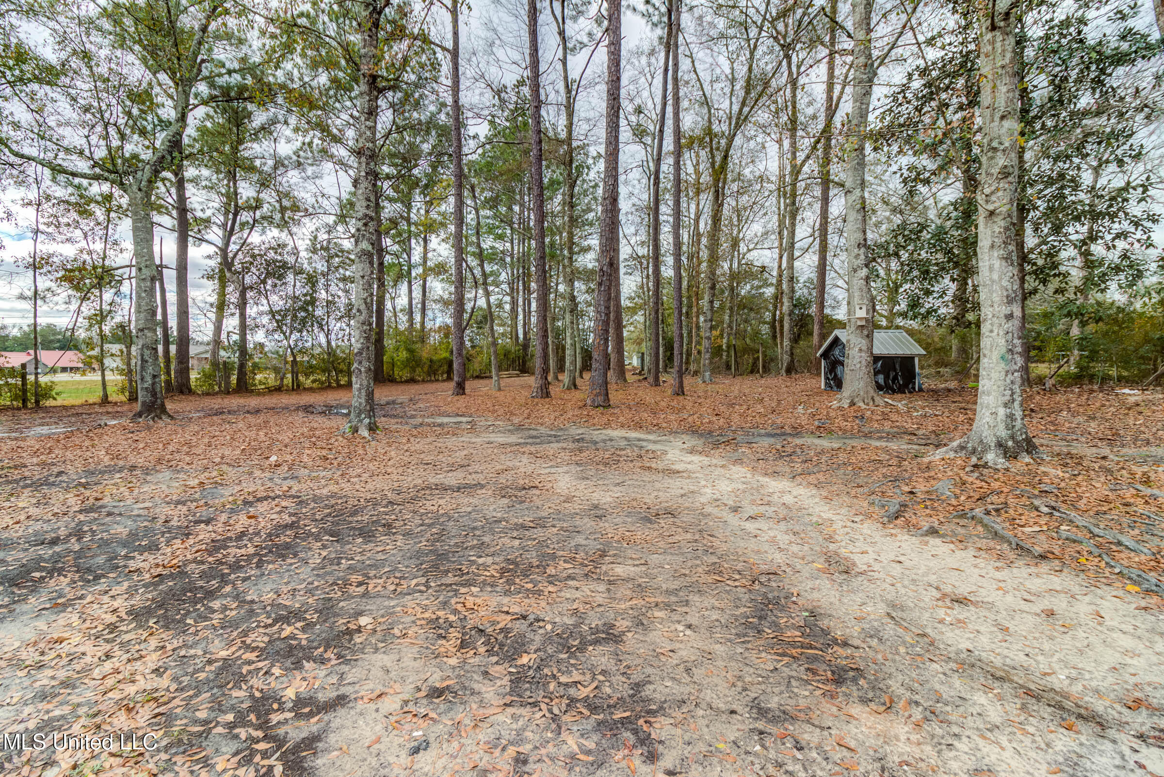 12522 Wolf River Road Property Photo 48