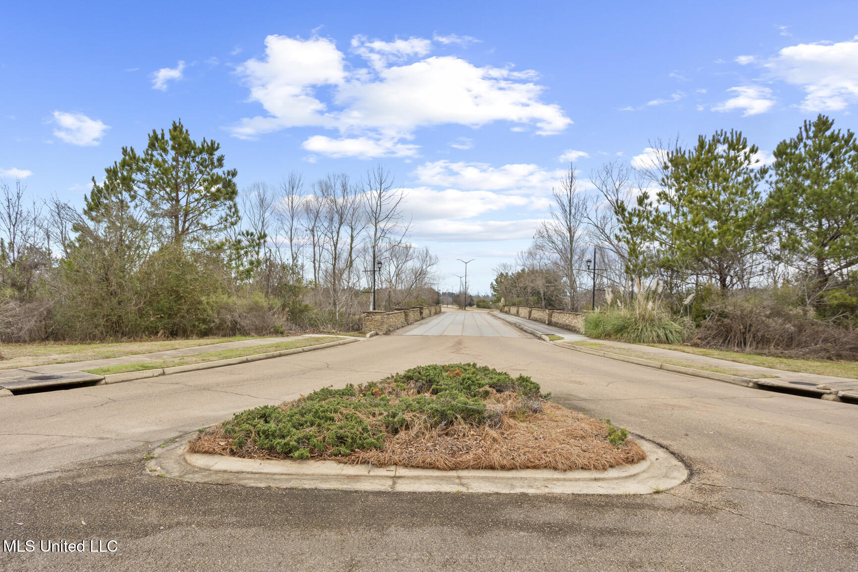 0 Stonebridge Boulevard Property Photo 3