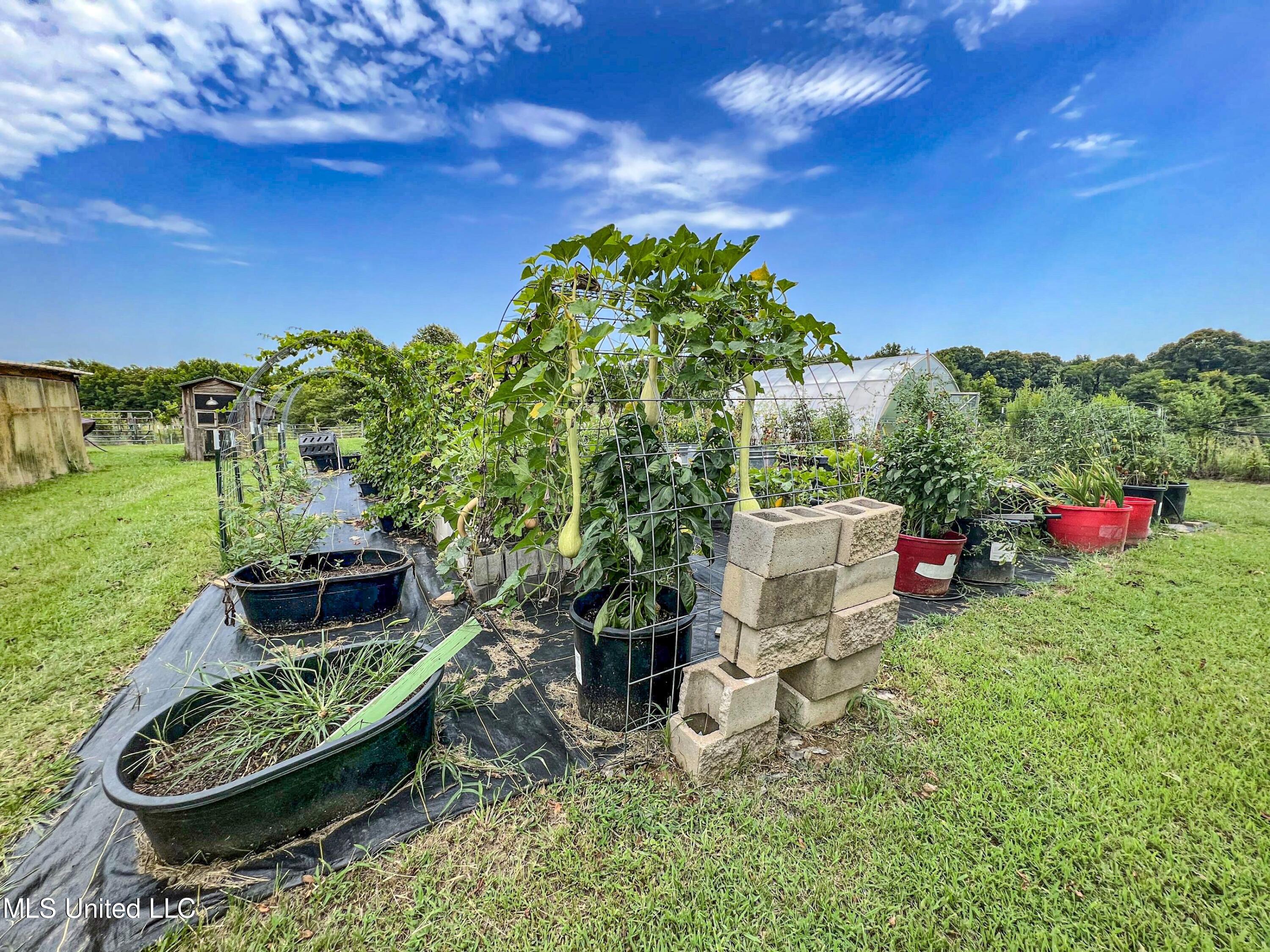 14912 Ms 35 Property Photo 46