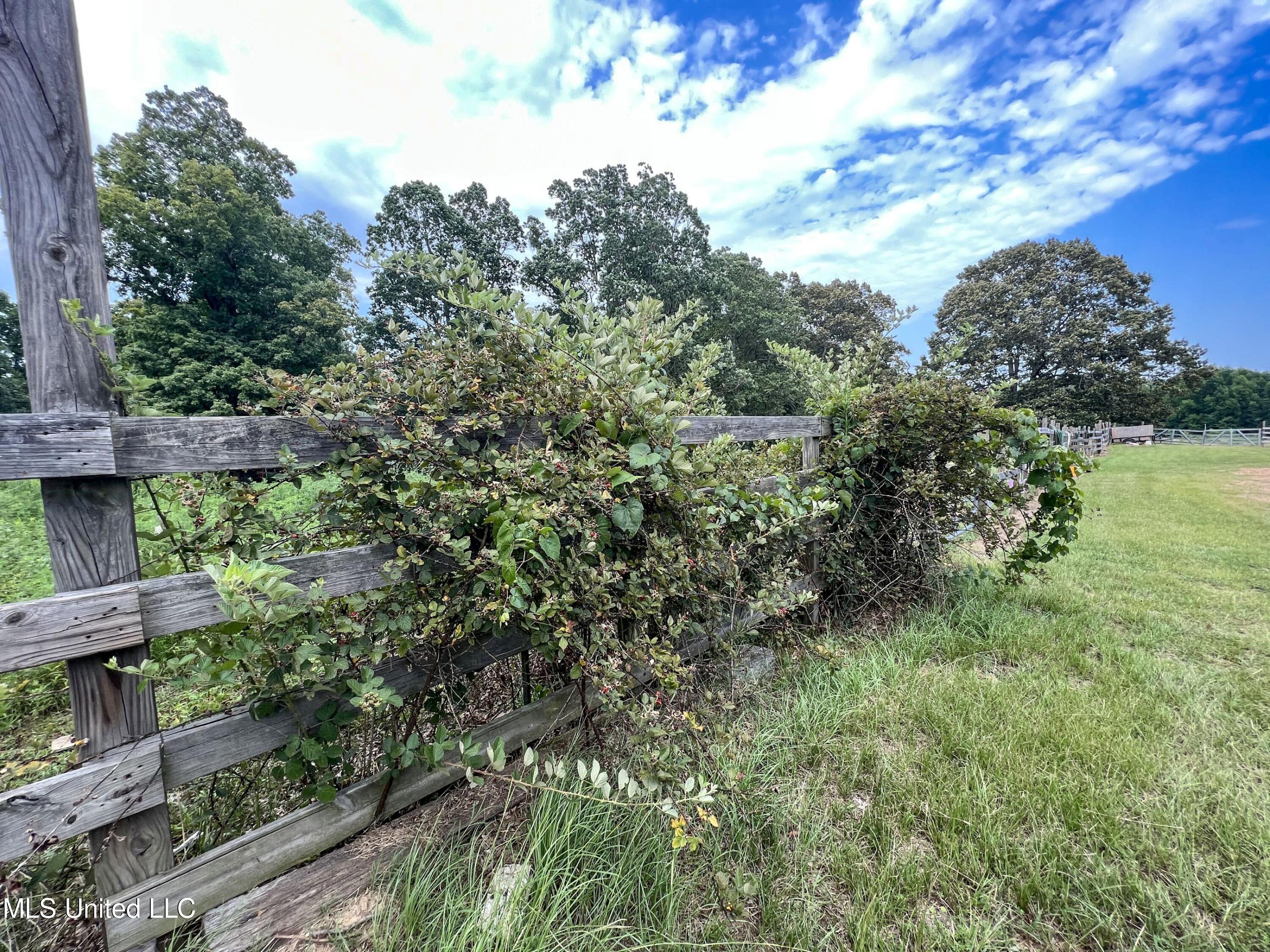 14912 Ms 35 Property Photo 56