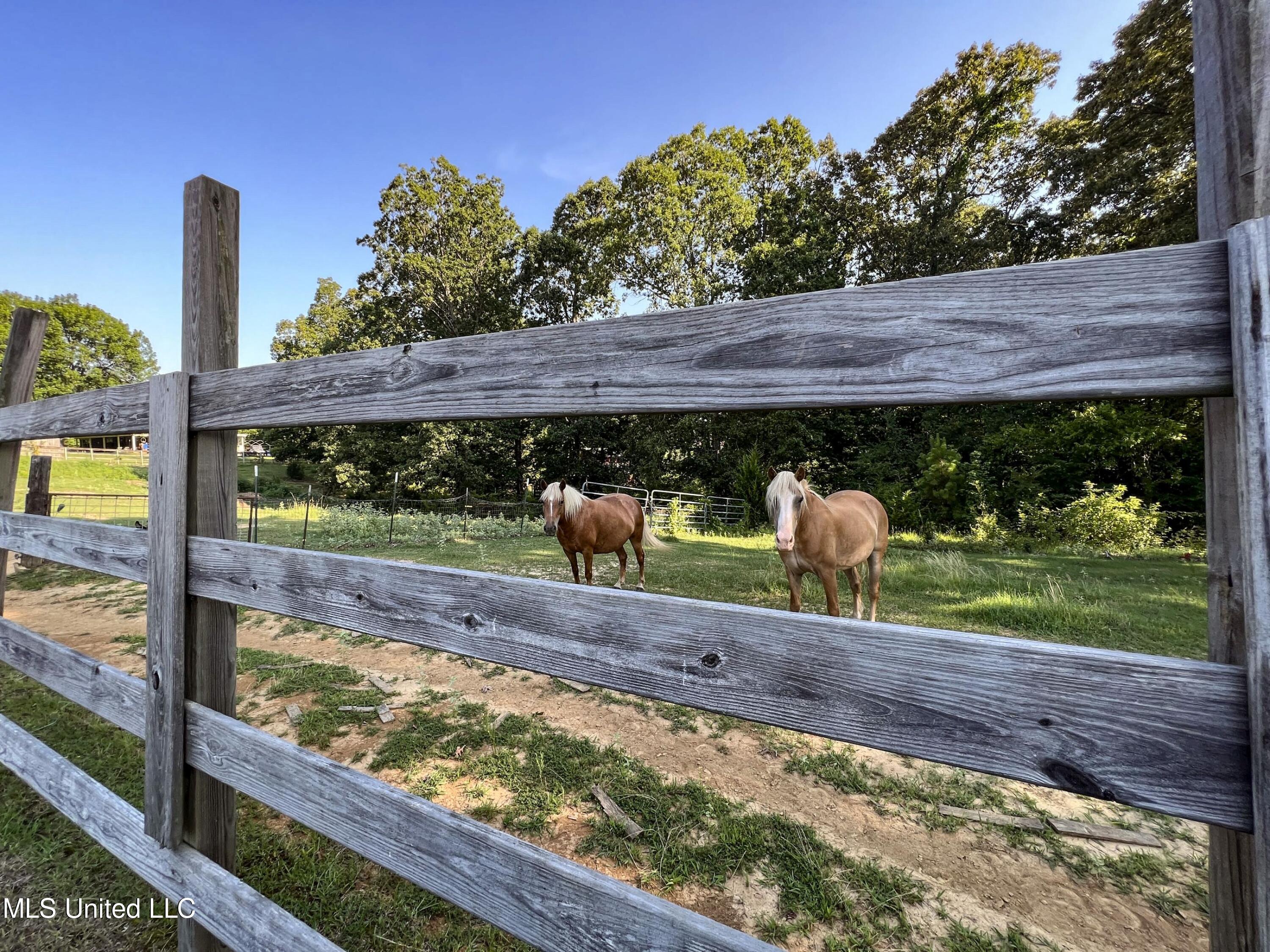14912 Ms 35 Property Photo 59