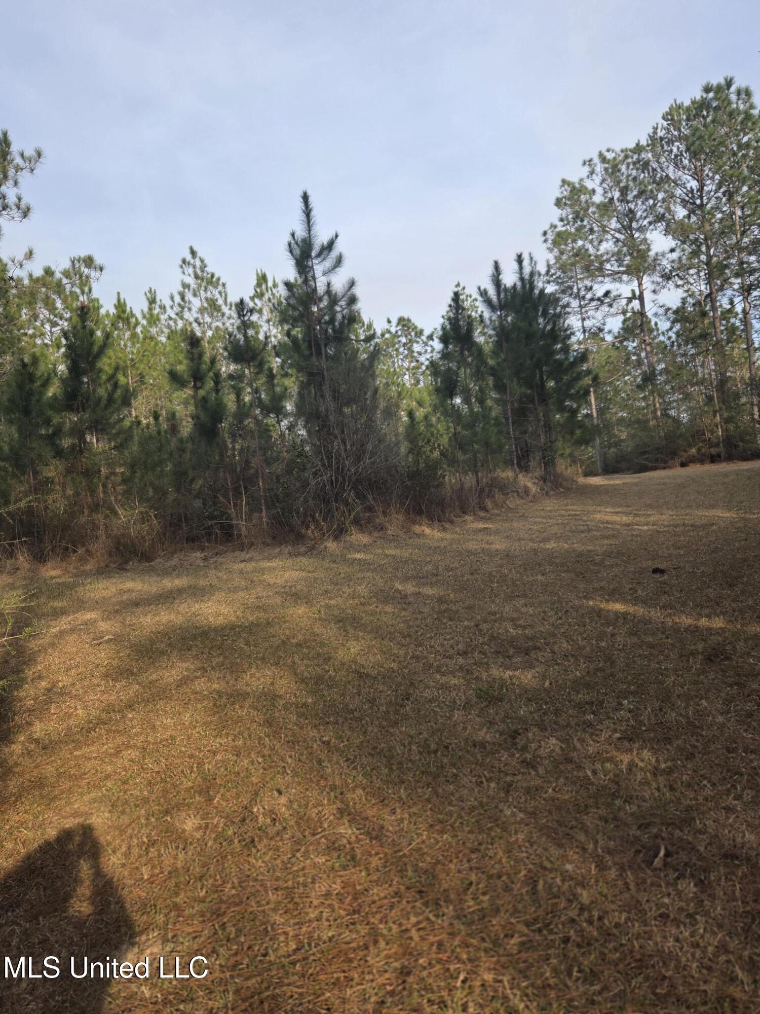E Lake Cypress Drive Property Photo 4