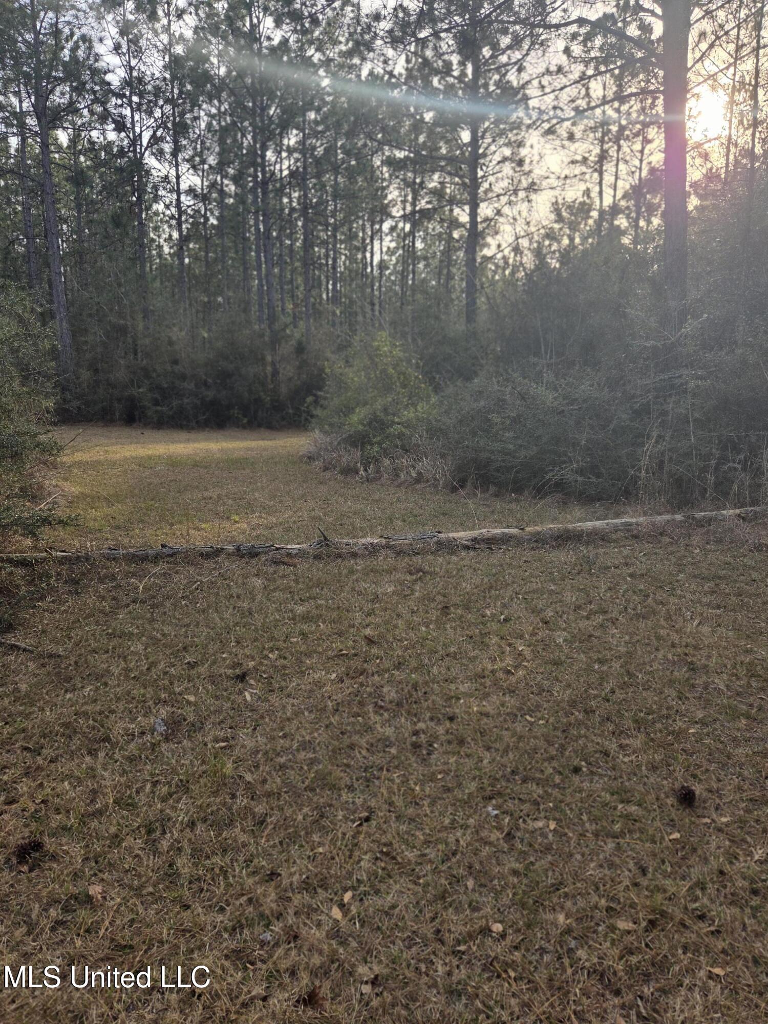 E Lake Cypress Drive Property Photo 5
