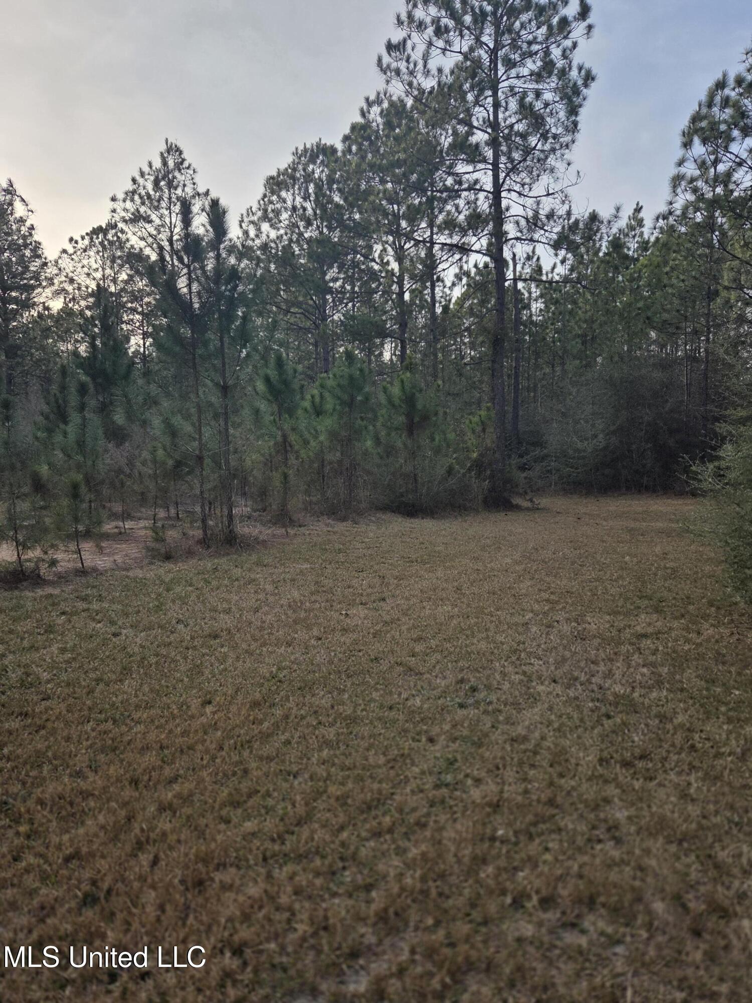 E Lake Cypress Drive Property Photo 6