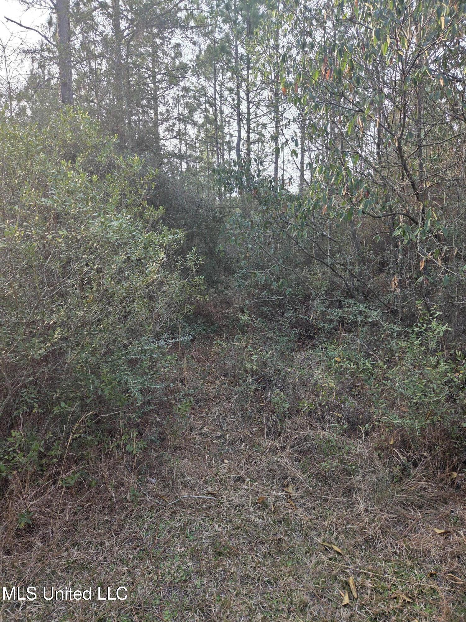 E Lake Cypress Drive Property Photo 7