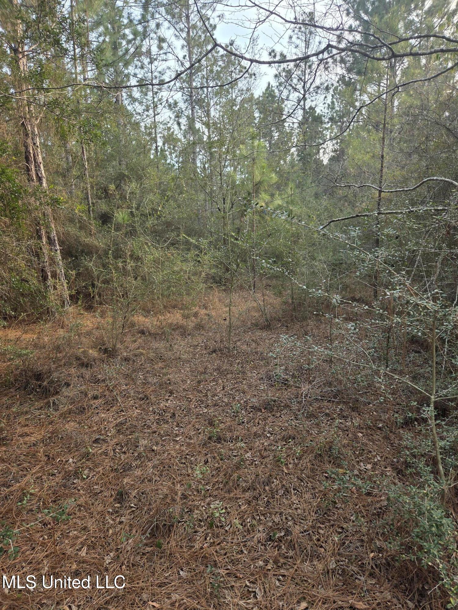 E Lake Cypress Drive Property Photo 8