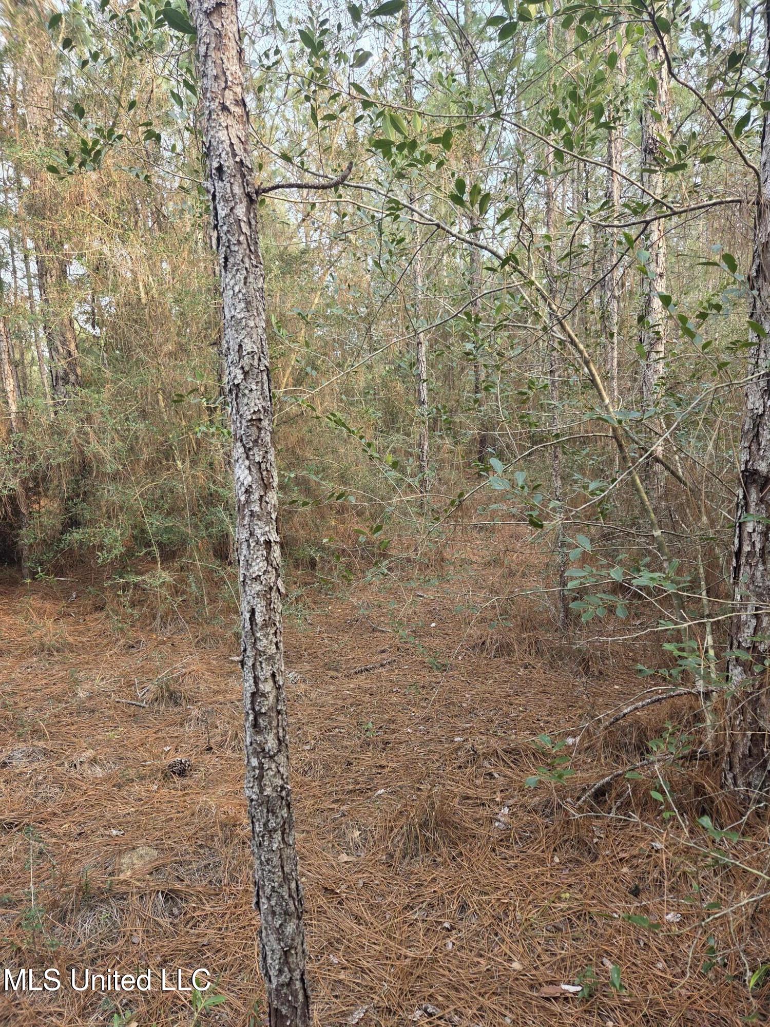 E Lake Cypress Drive Property Photo 9