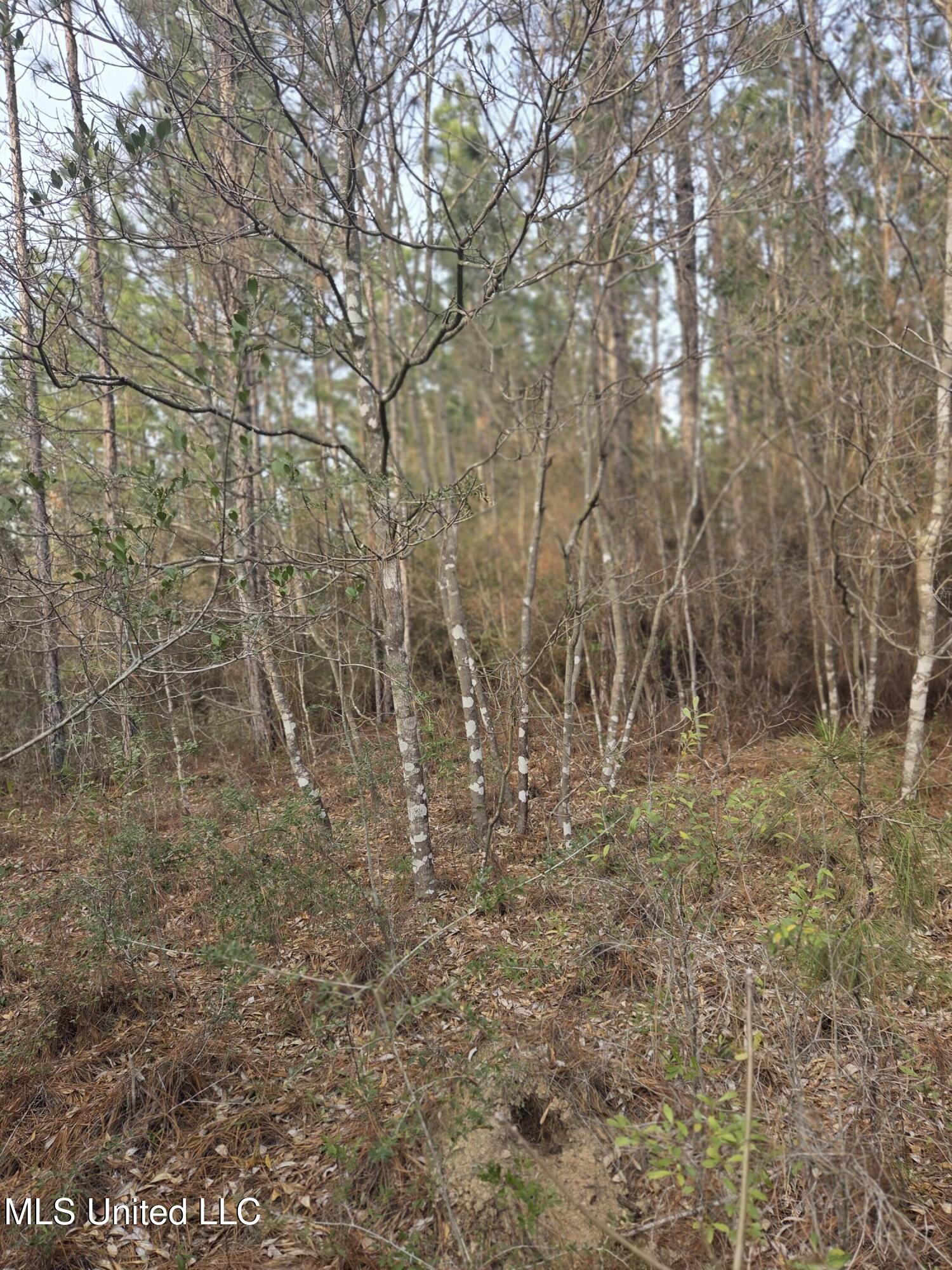 E Lake Cypress Drive Property Photo 10