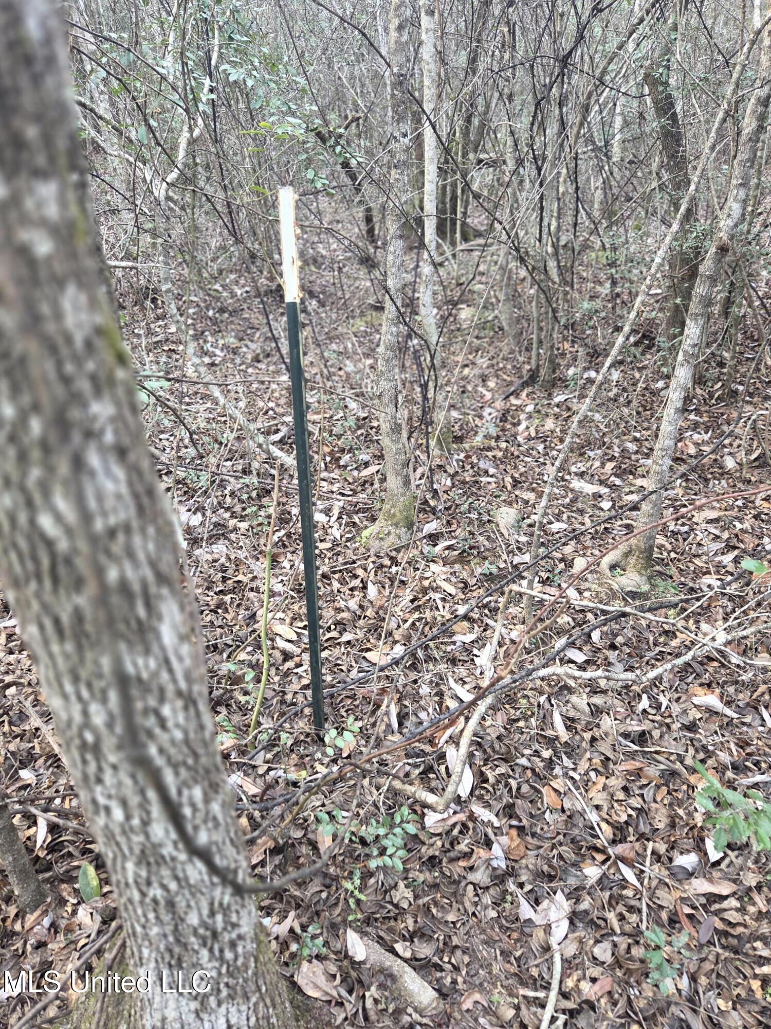 E Lake Cypress Drive Property Photo 11