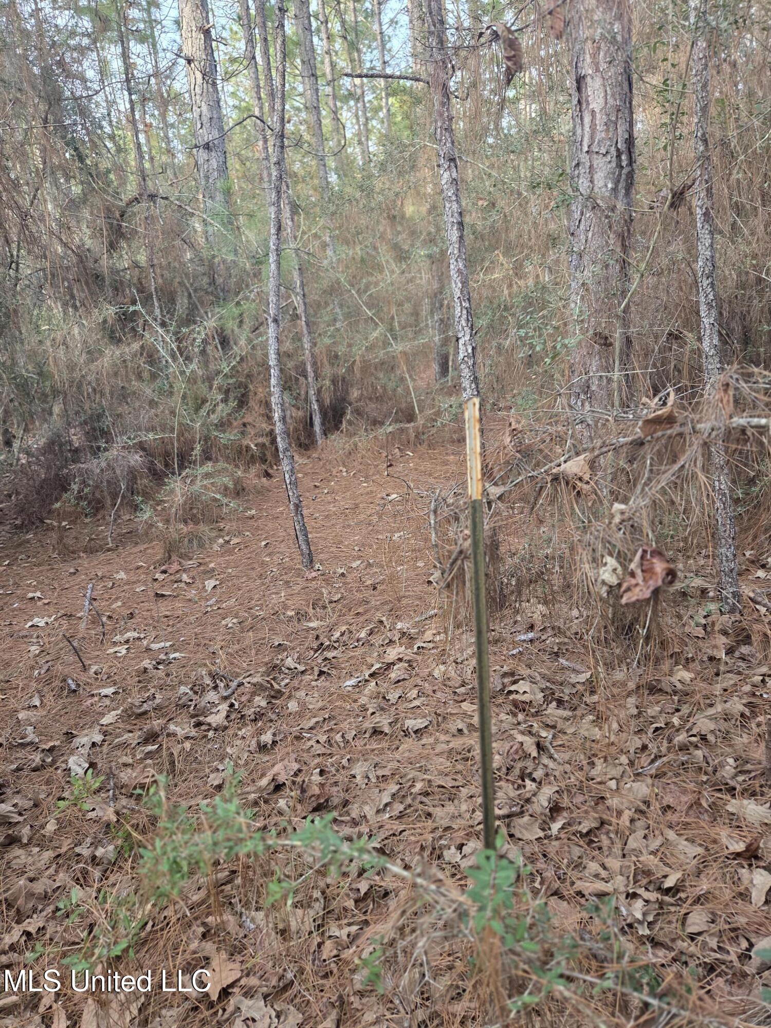 E Lake Cypress Drive Property Photo 12