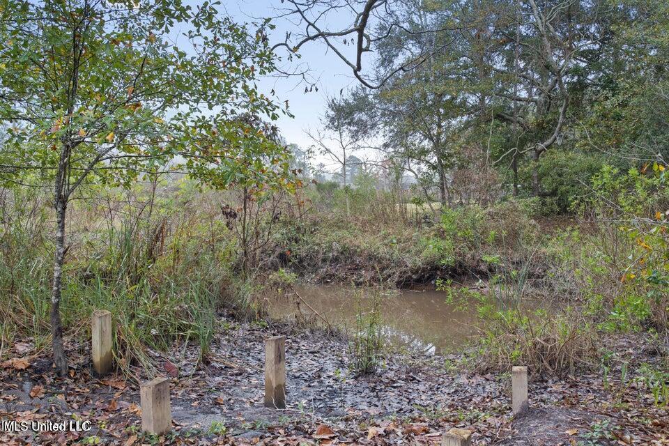 103 Red Wing Cove Property Photo 21