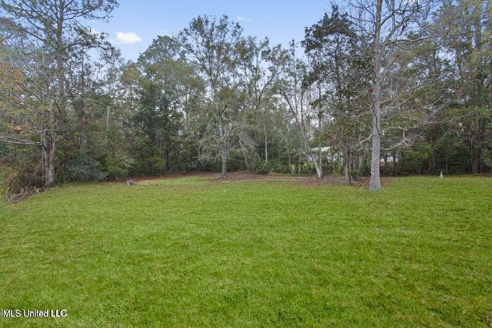 103 Red Wing Cove Property Photo 22