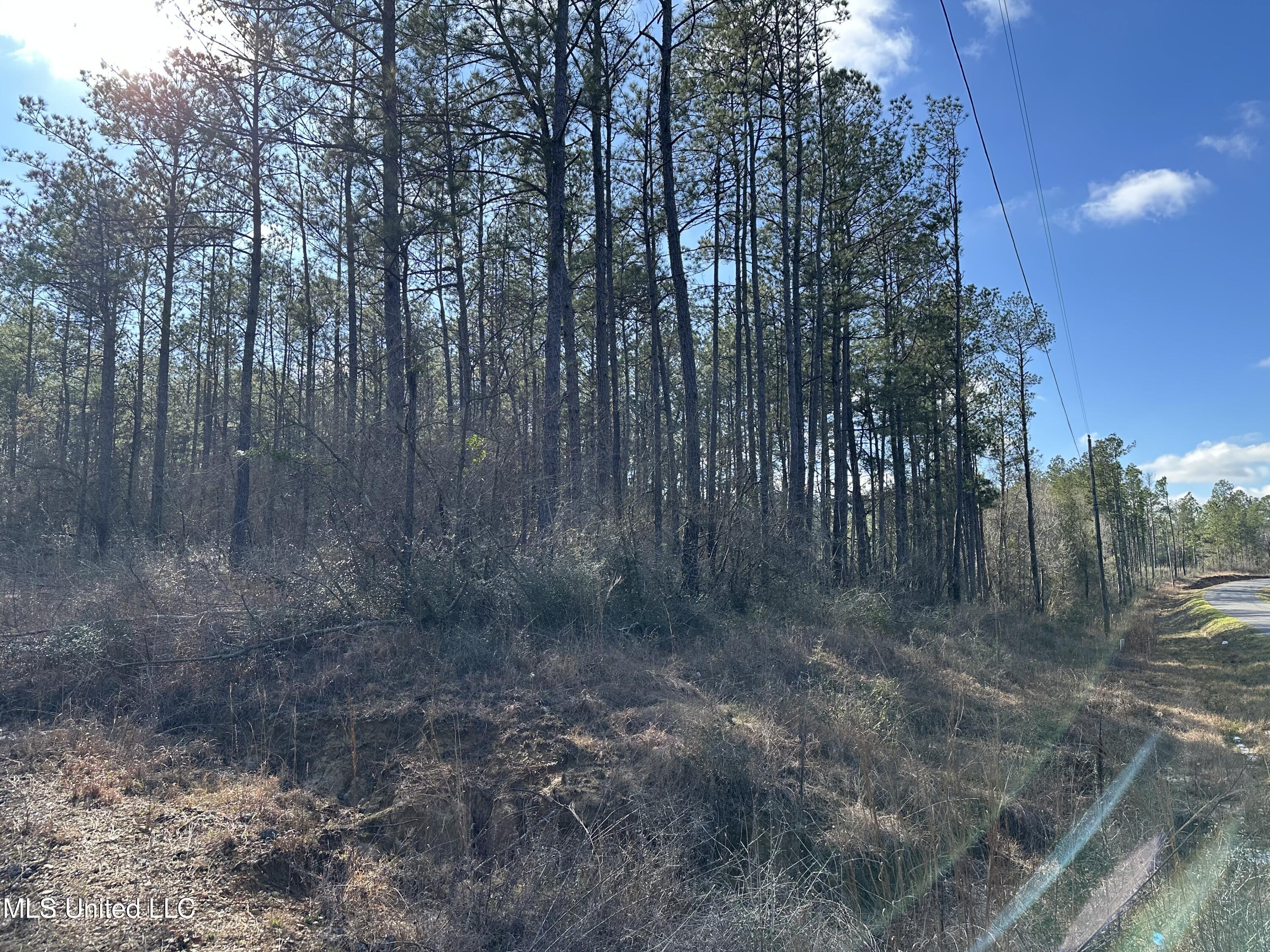 0 Emile Davis Road Property Photo 2