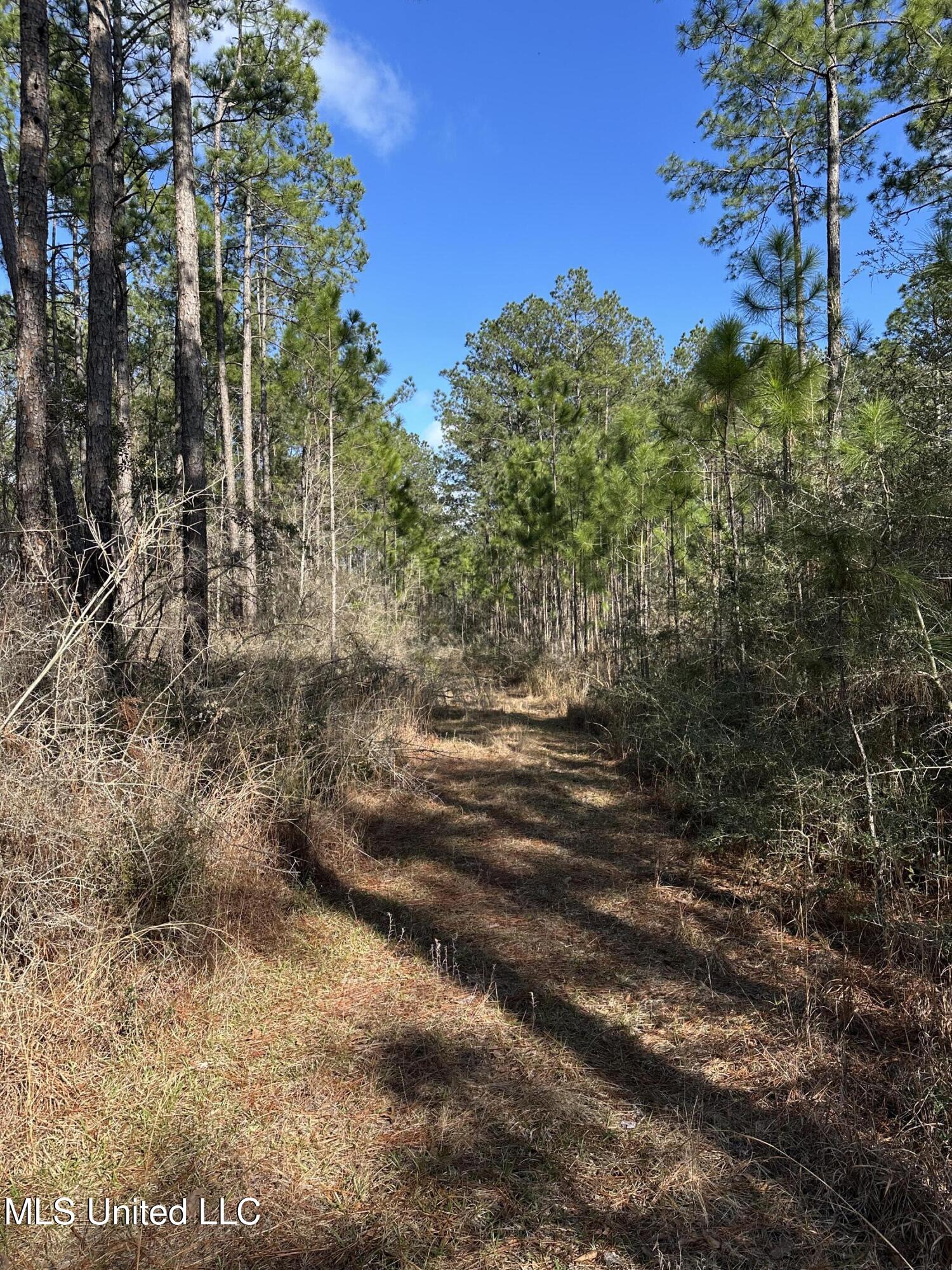 0 Emile Davis Road Property Photo 3