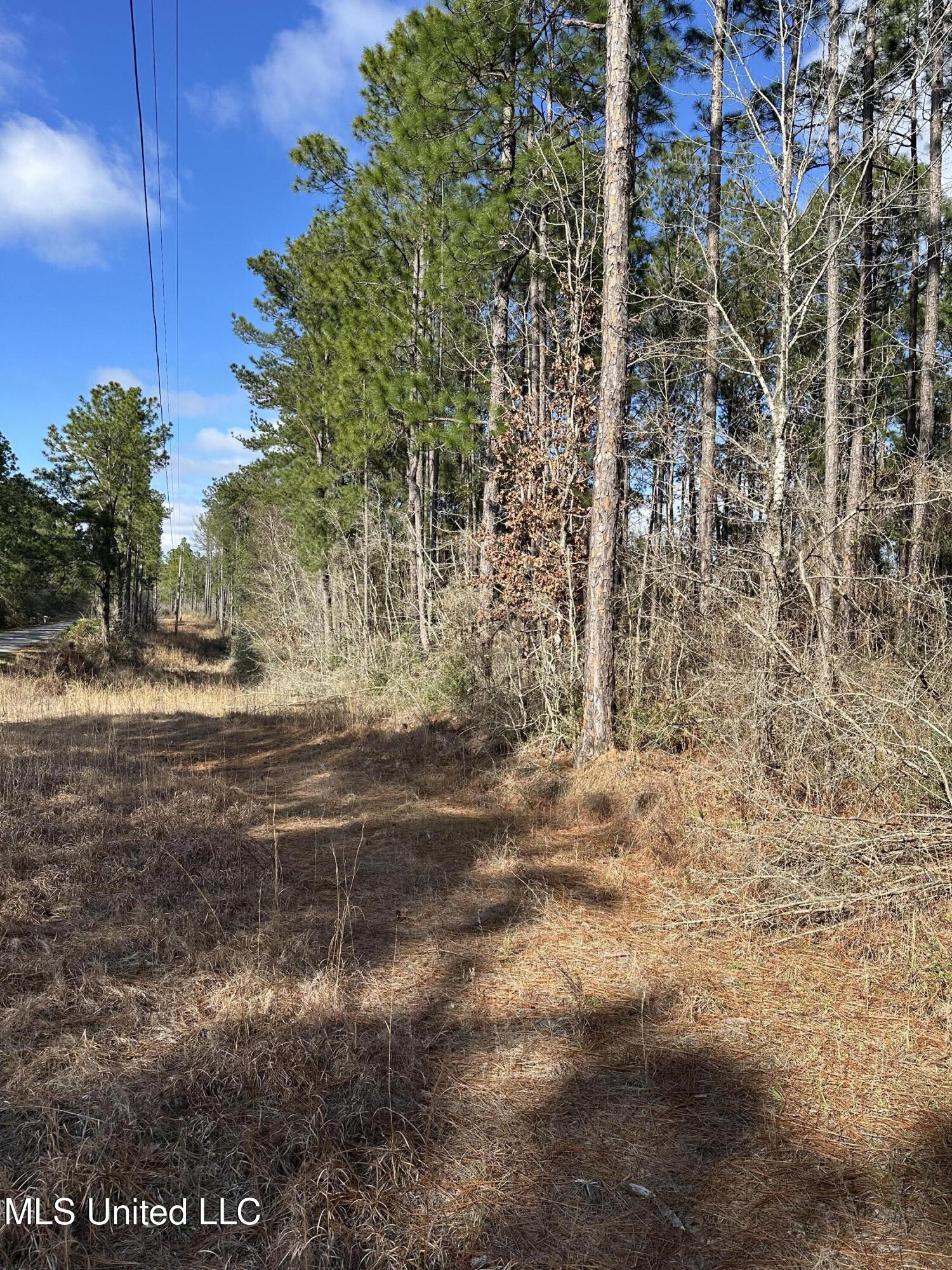 0 Emile Davis Road Property Photo 5