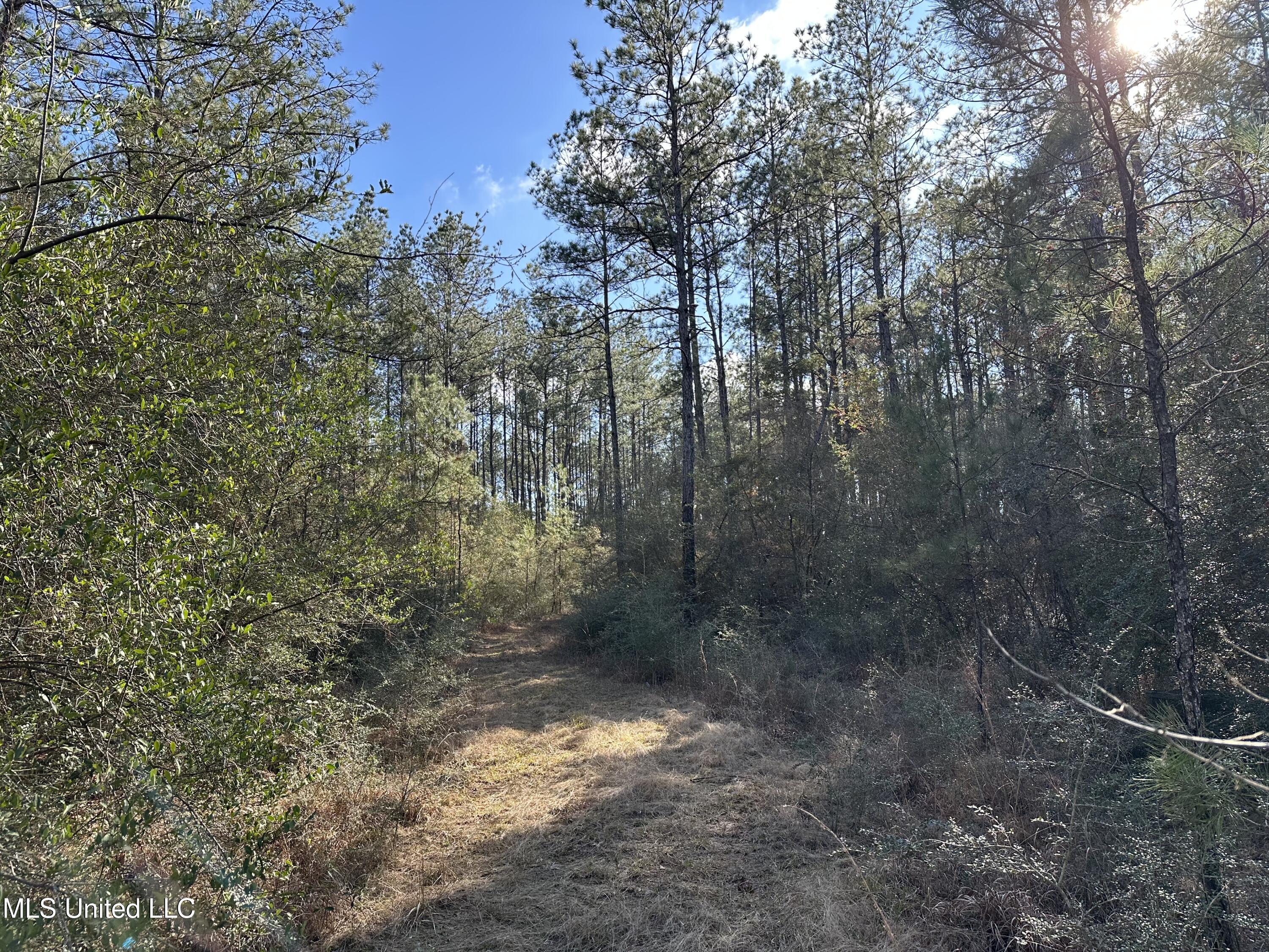 0 Emile Davis Road Property Photo 8
