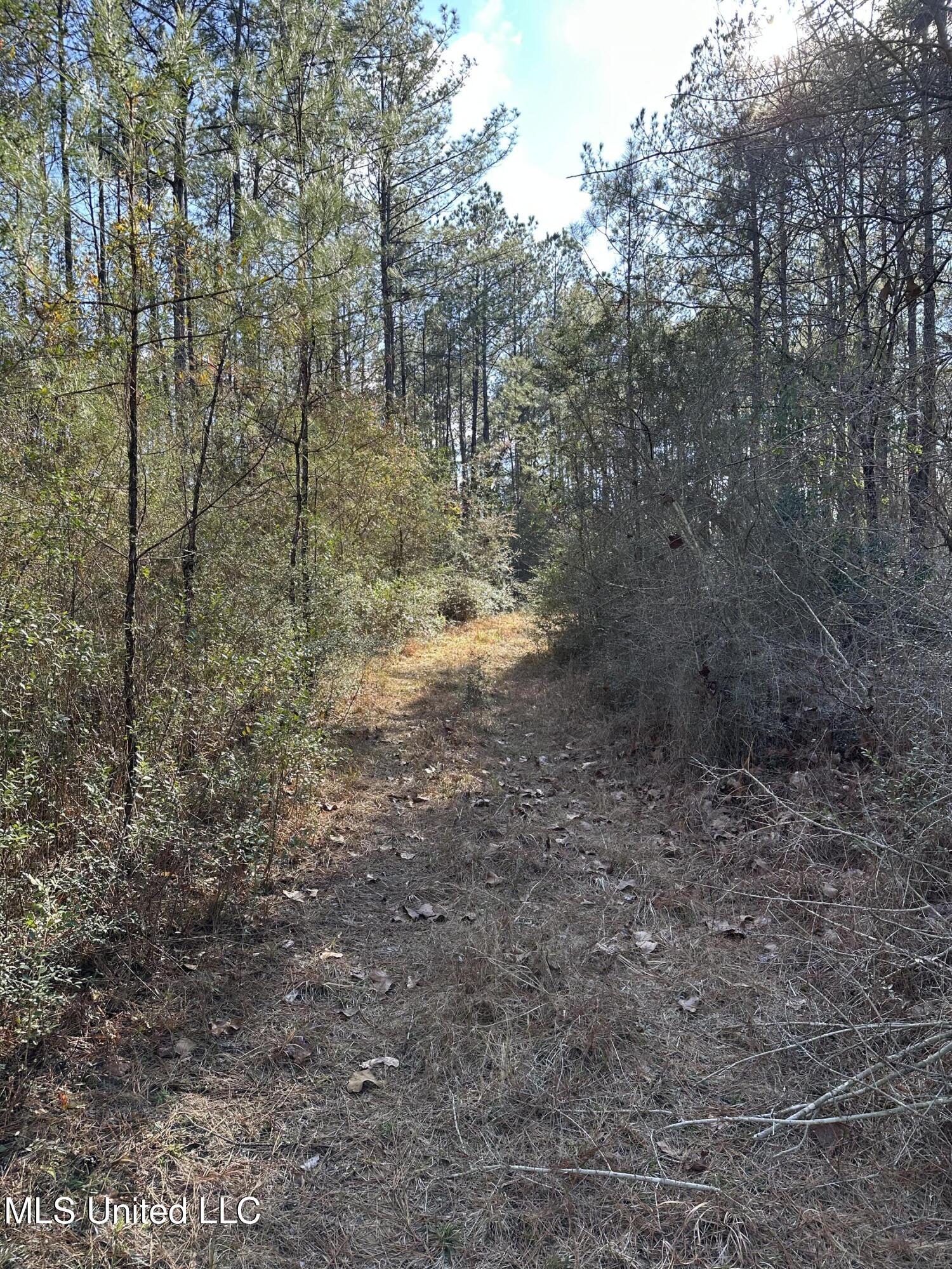 0 Emile Davis Road Property Photo 9