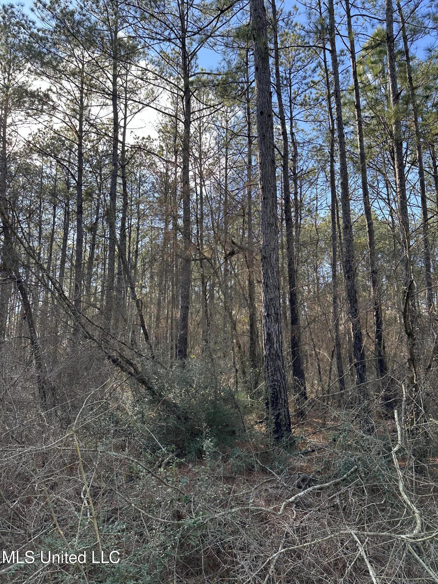 0 Emile Davis Road Property Photo 10
