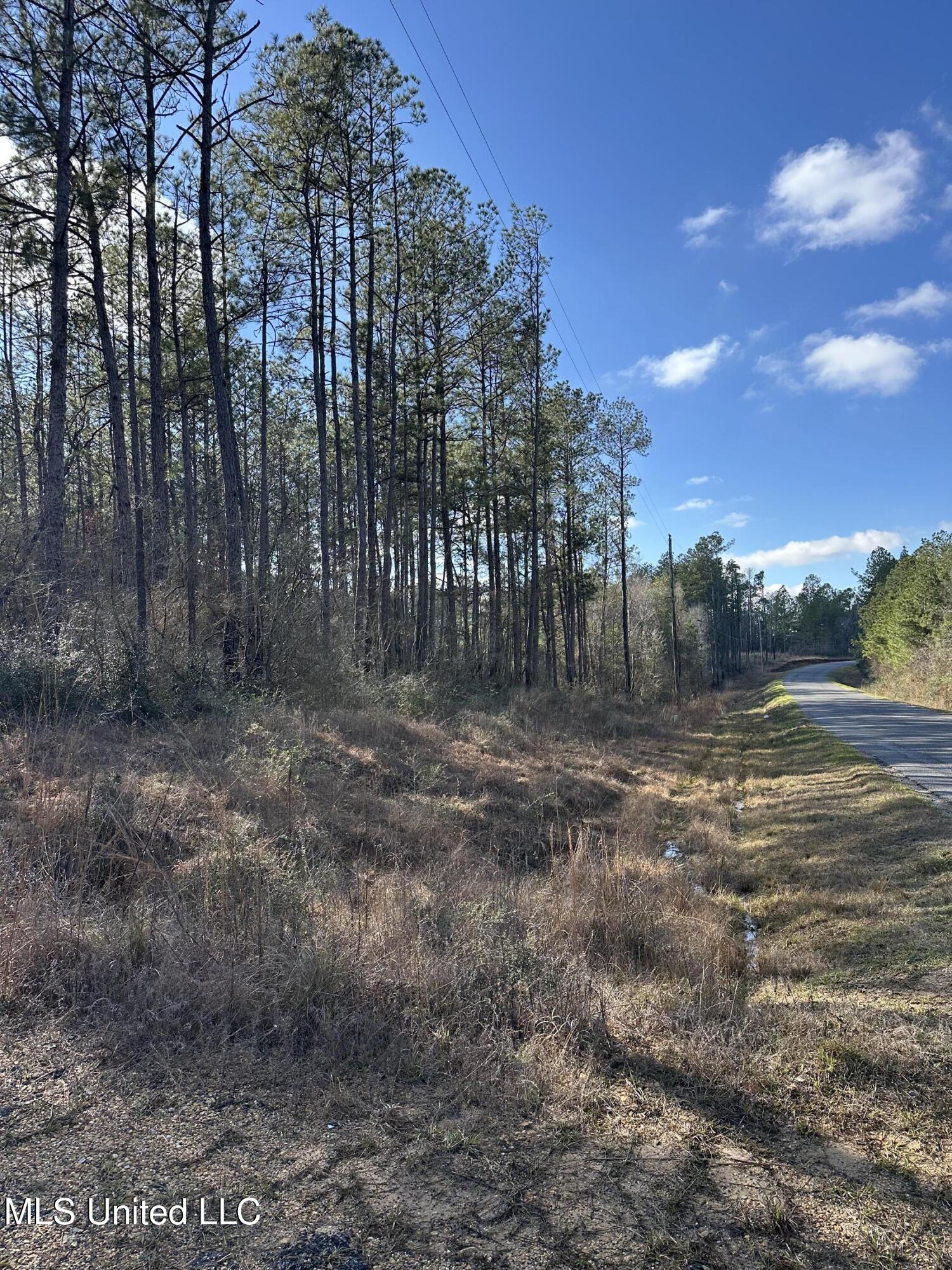 0 Emile Davis Road Property Photo 11