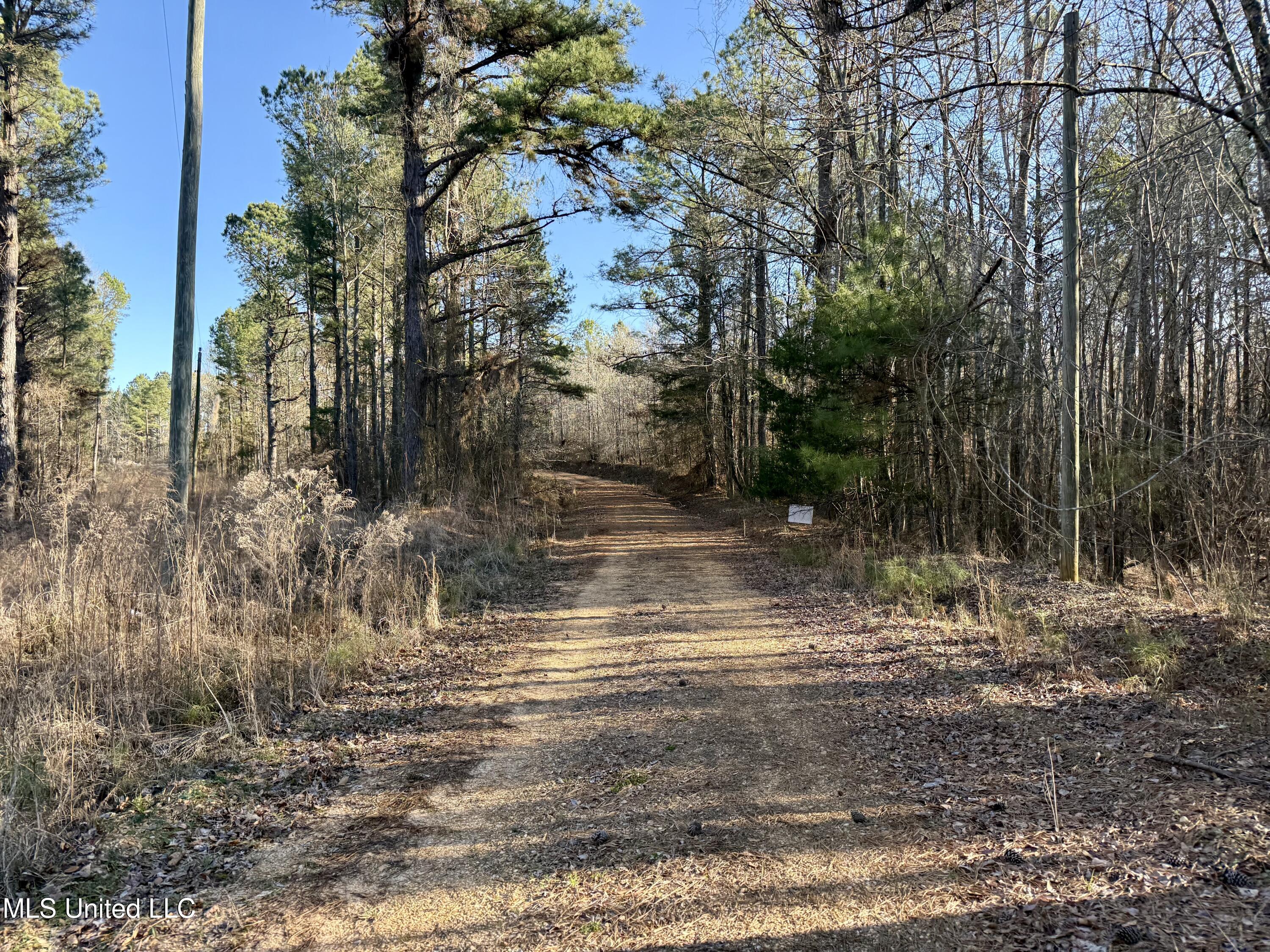 Triplett Ingram Road Property Photo 2