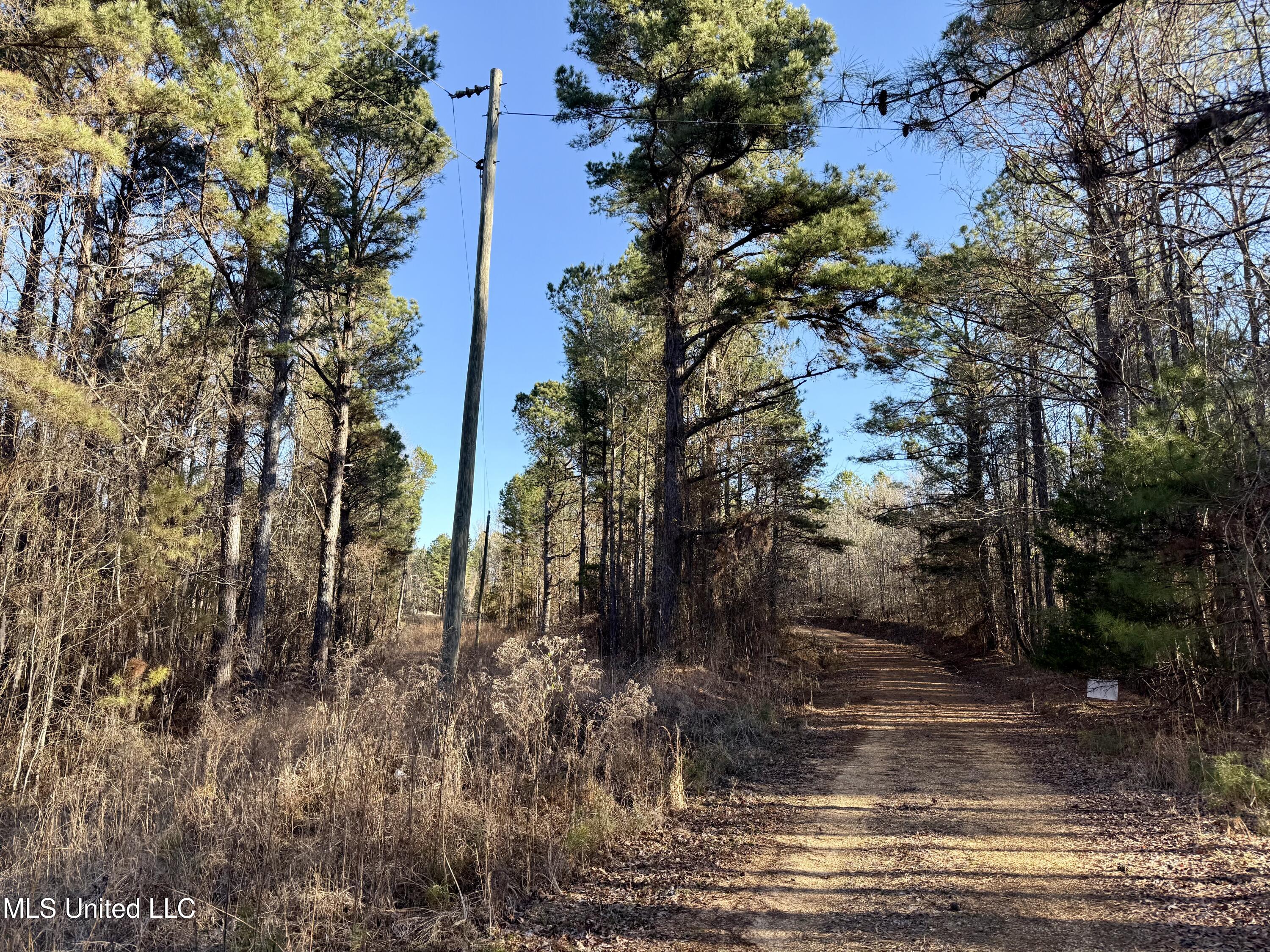 Triplett Ingram Road Property Photo 3