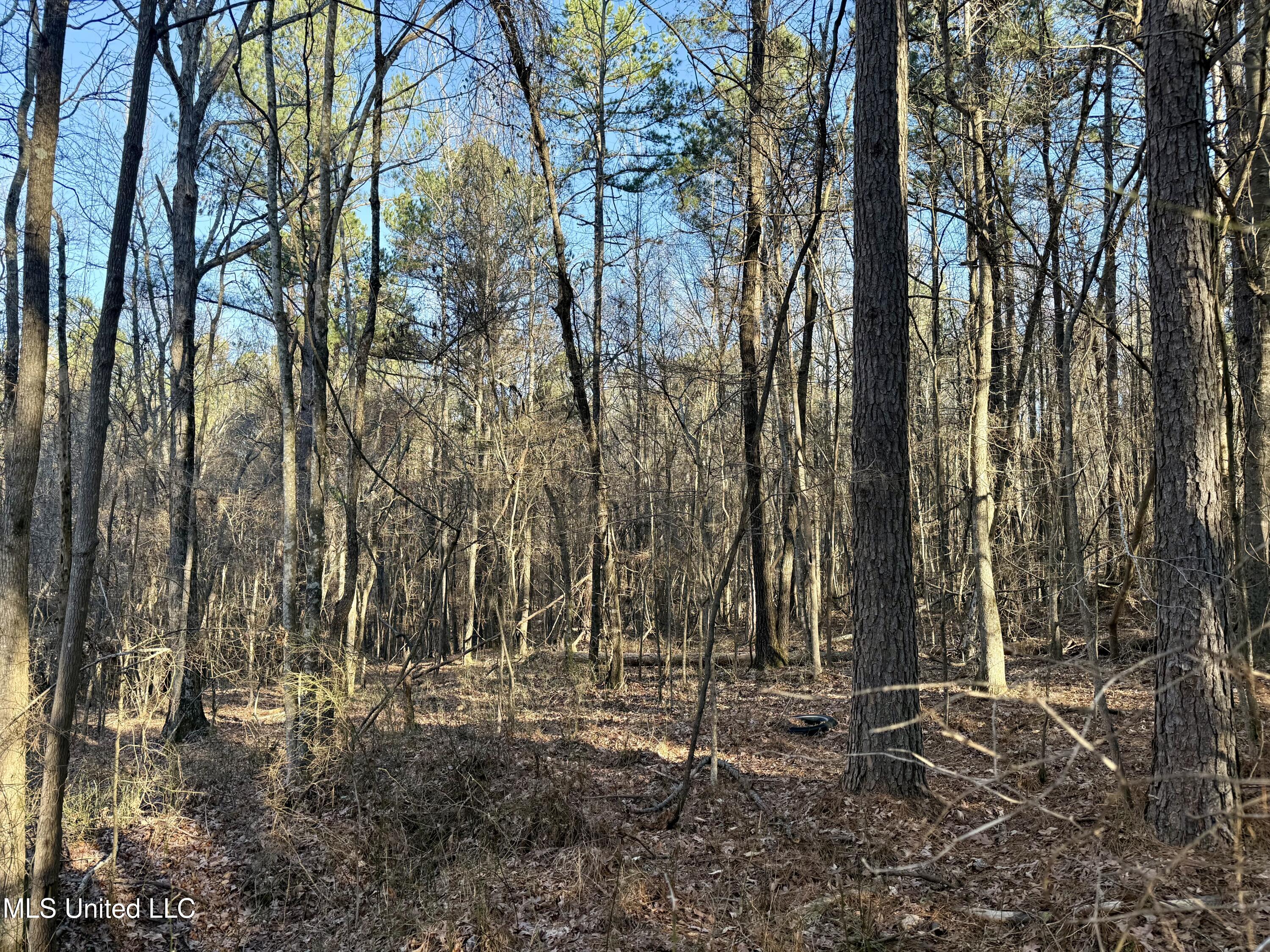 Triplett Ingram Road Property Photo 8