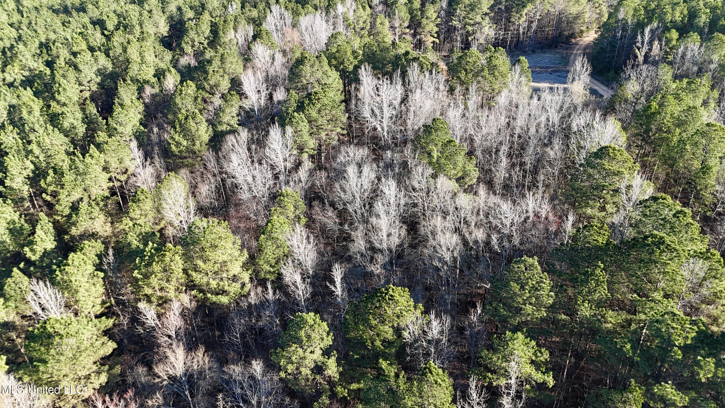 Triplett Ingram Road Property Photo 12