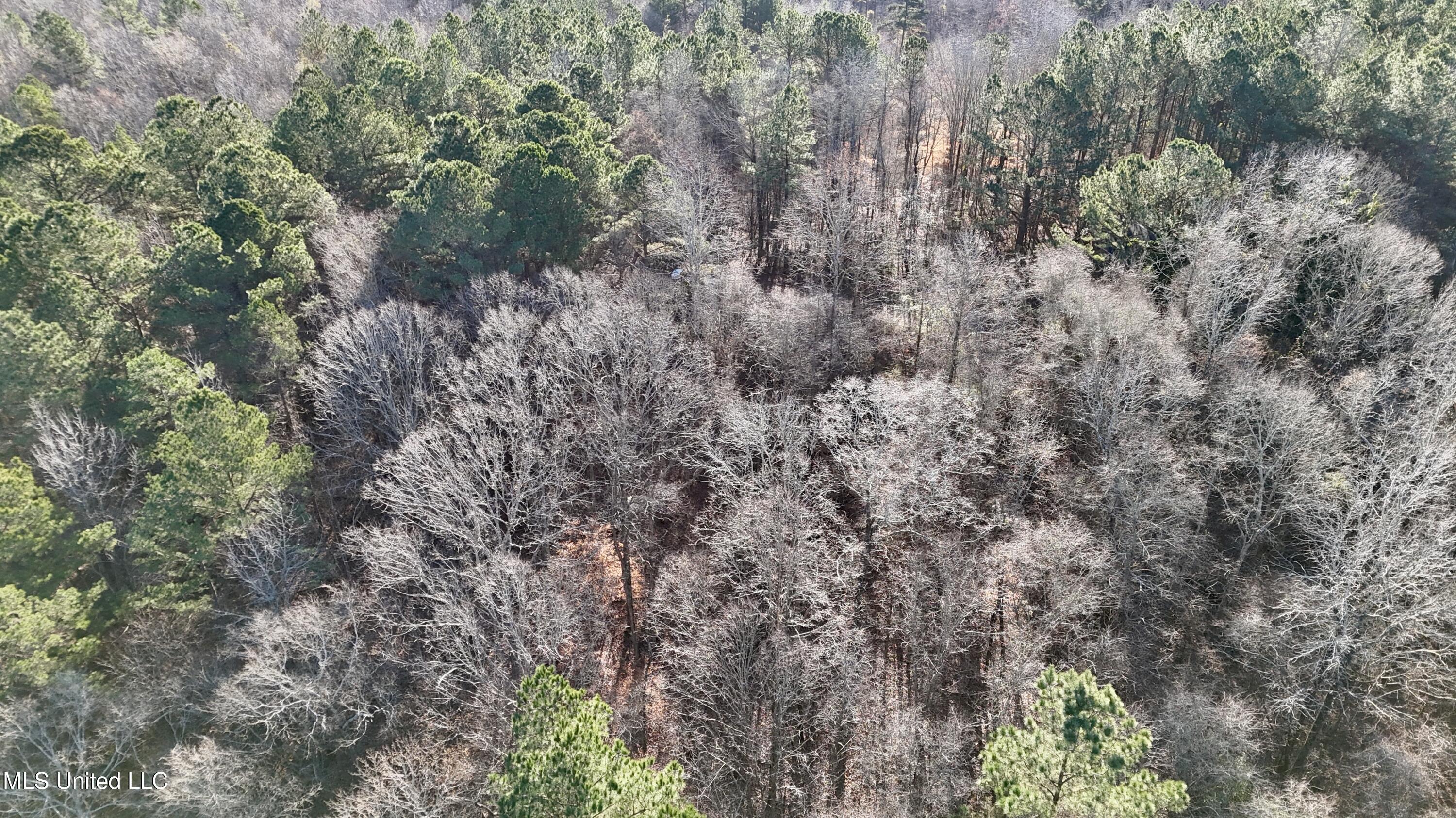 Triplett Ingram Road Property Photo 14