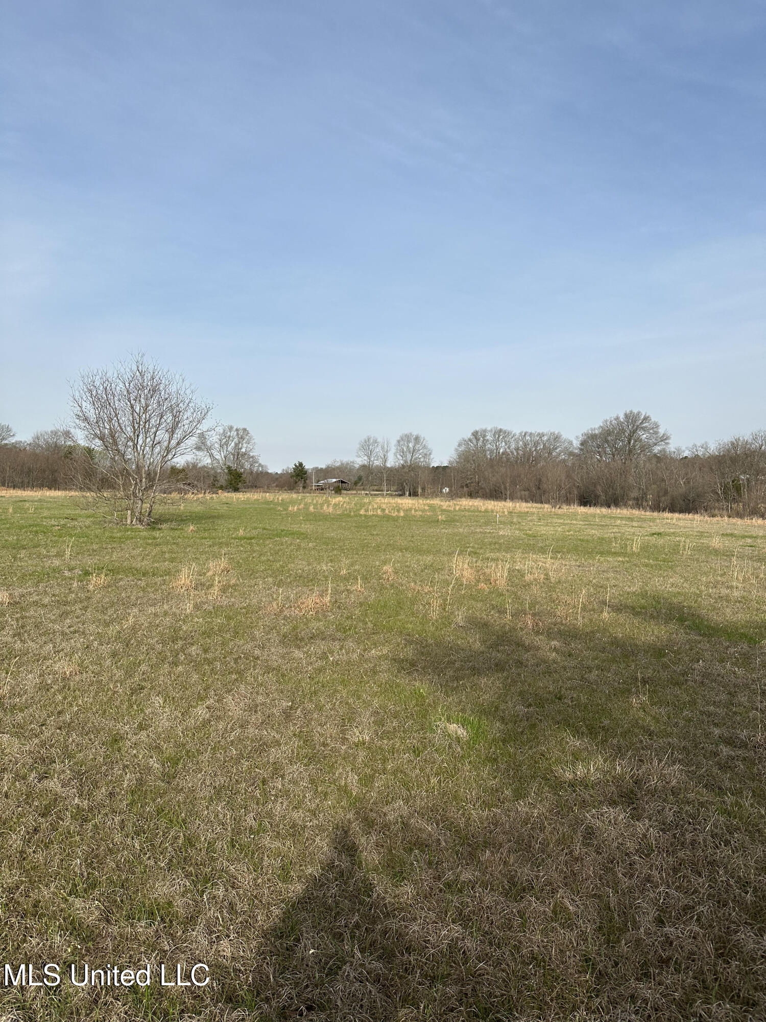 Highway 469 Property Photo 1