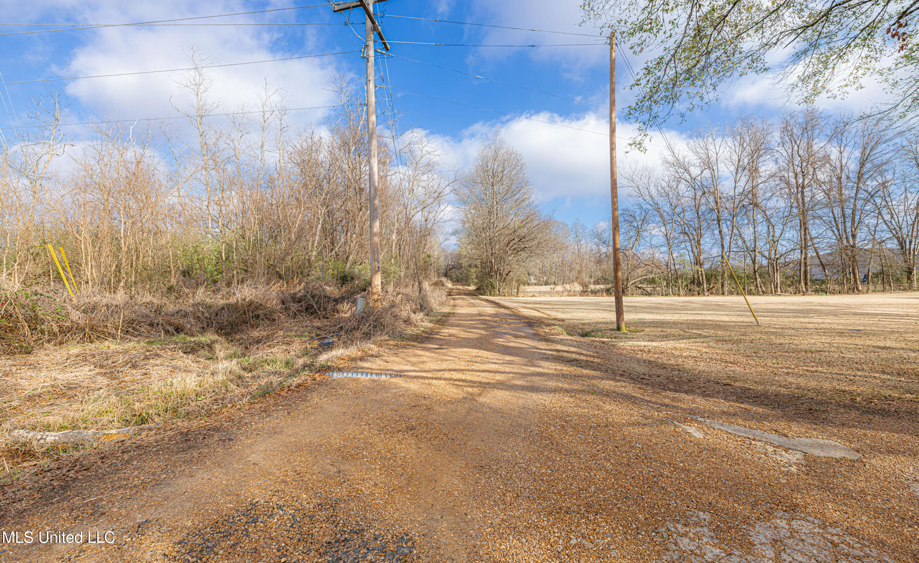 Goodson Road Property Photo 15