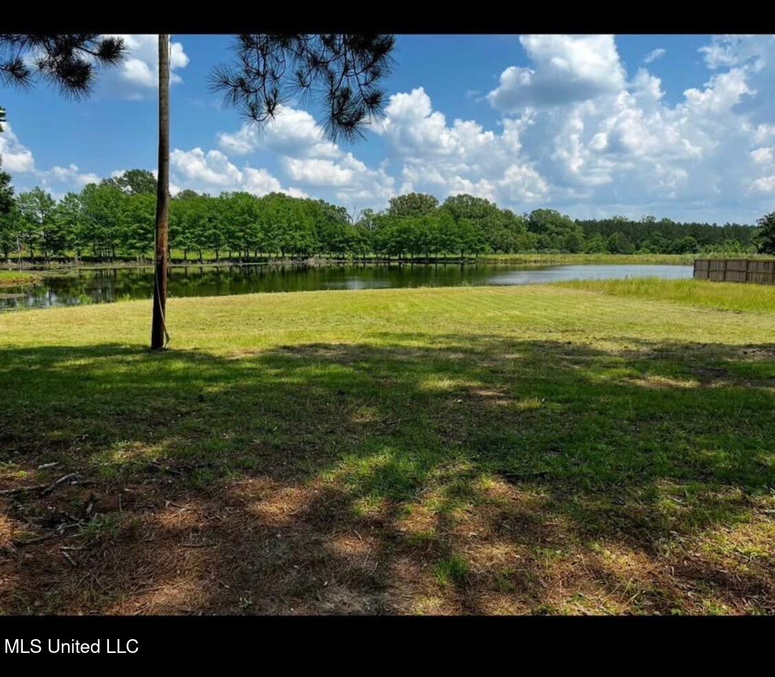 98b Cotton Acres Drive Property Photo 1