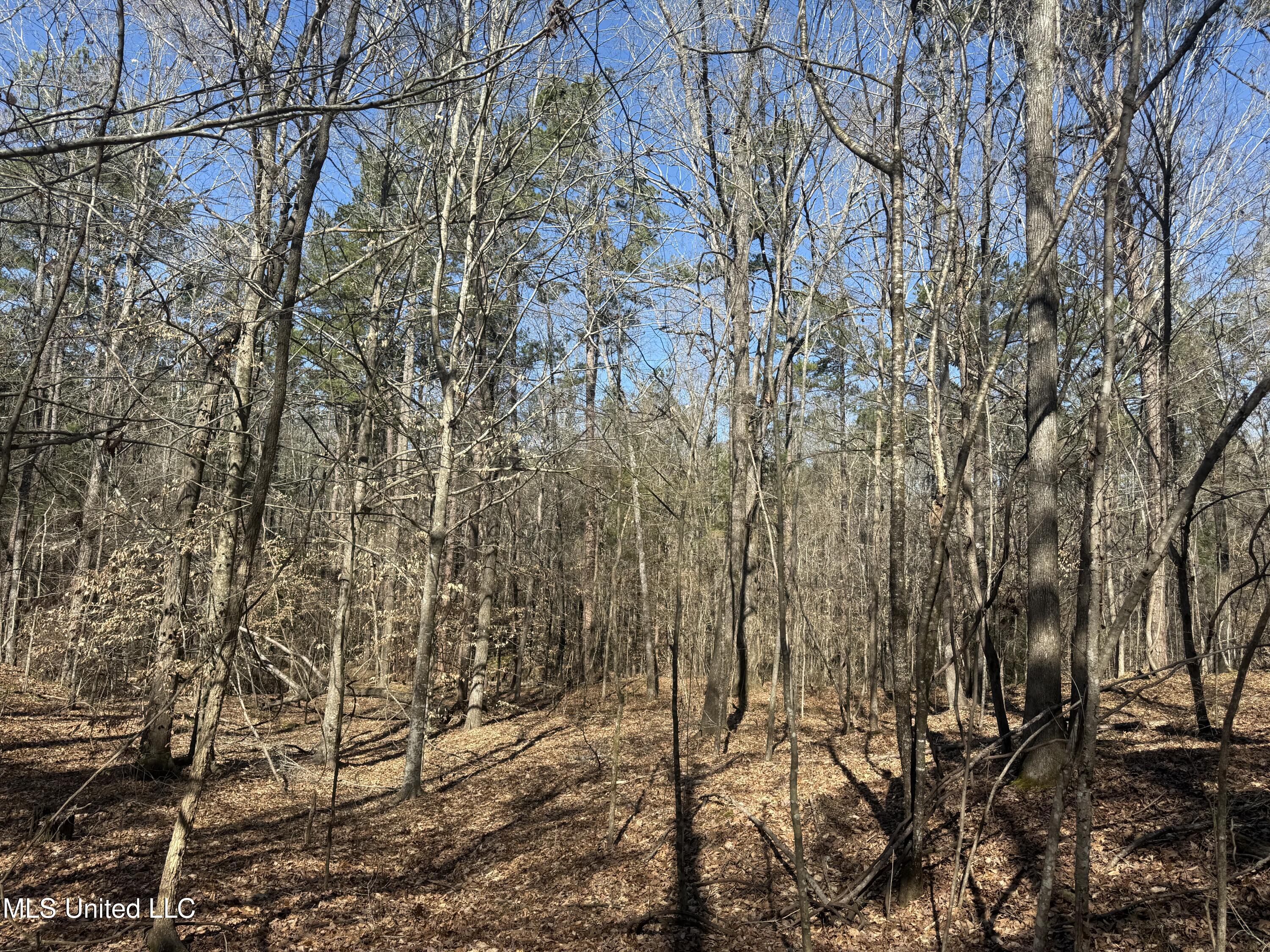 County Road 186 Property Photo 18