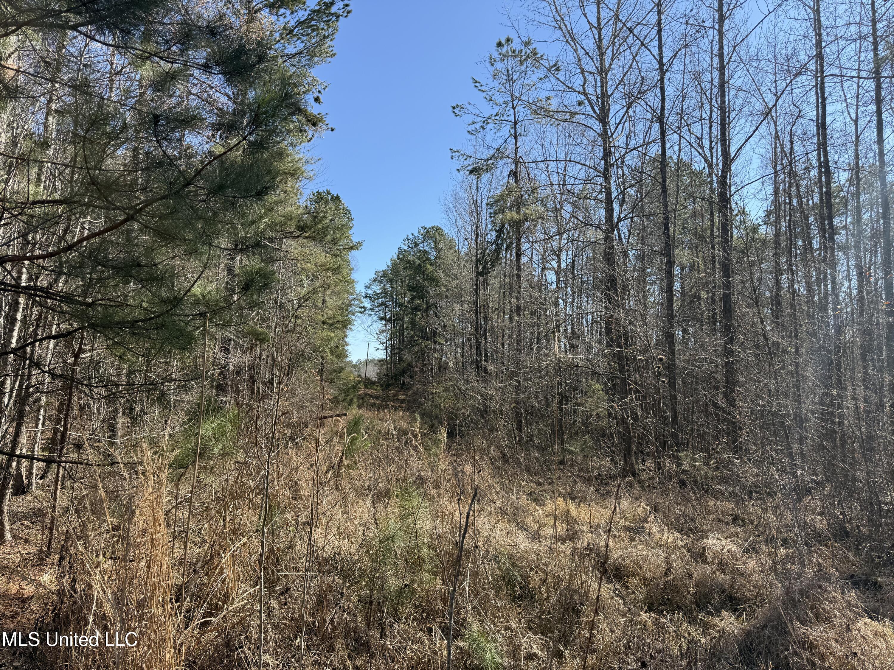 County Road 186 Property Photo 20