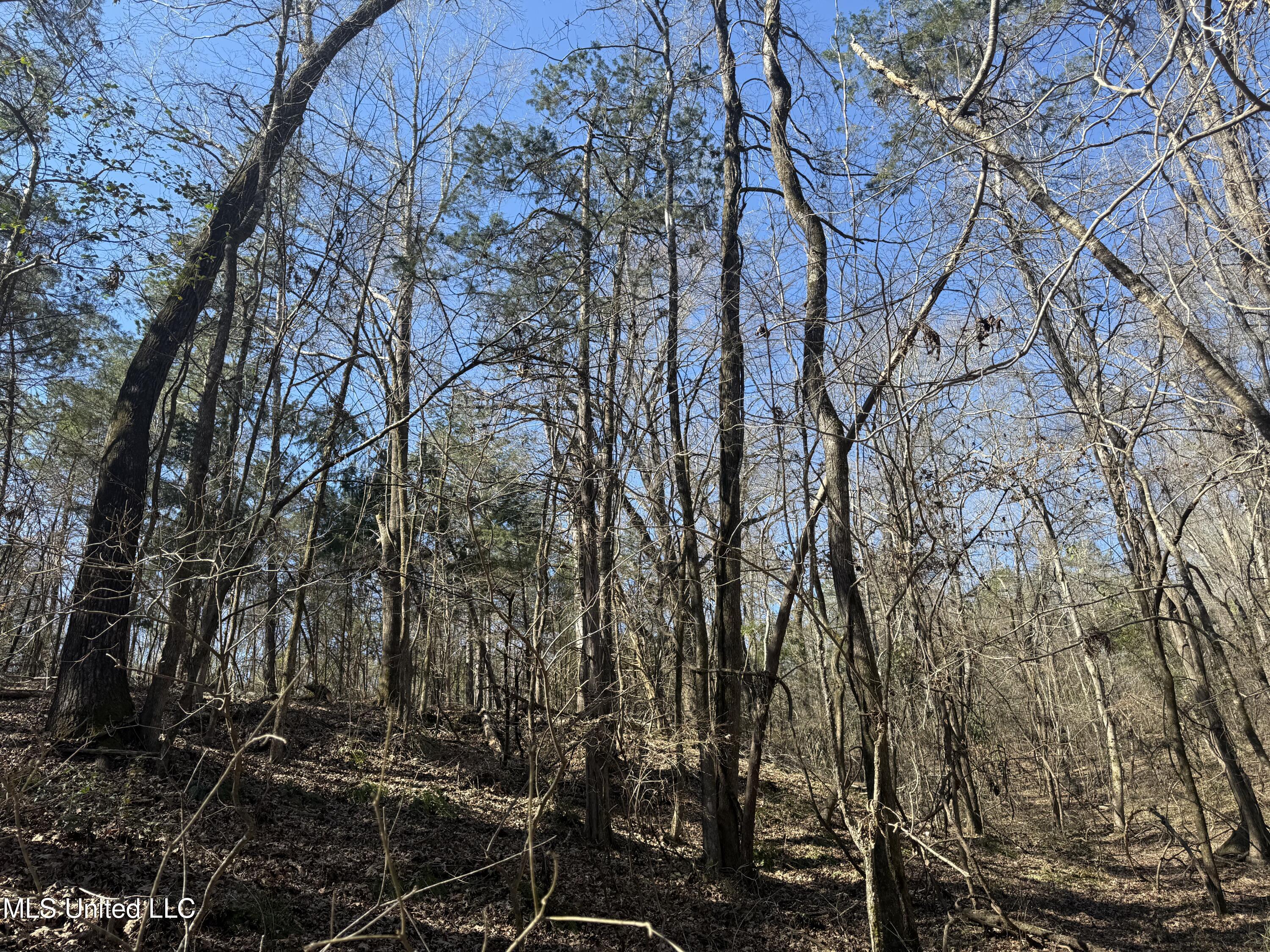 County Road 186 Property Photo 24