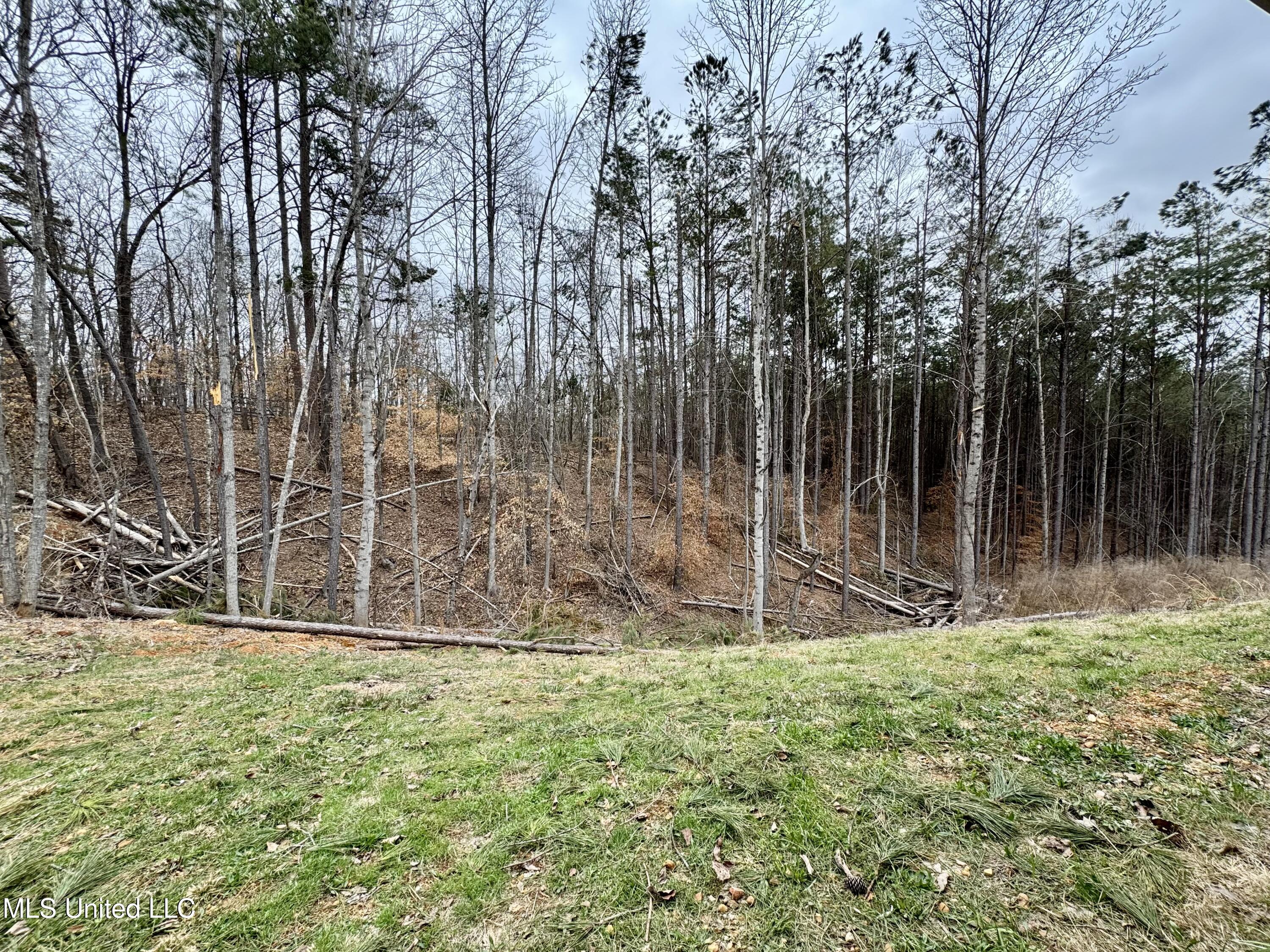 68 River Bend Park Drive Property Photo 26