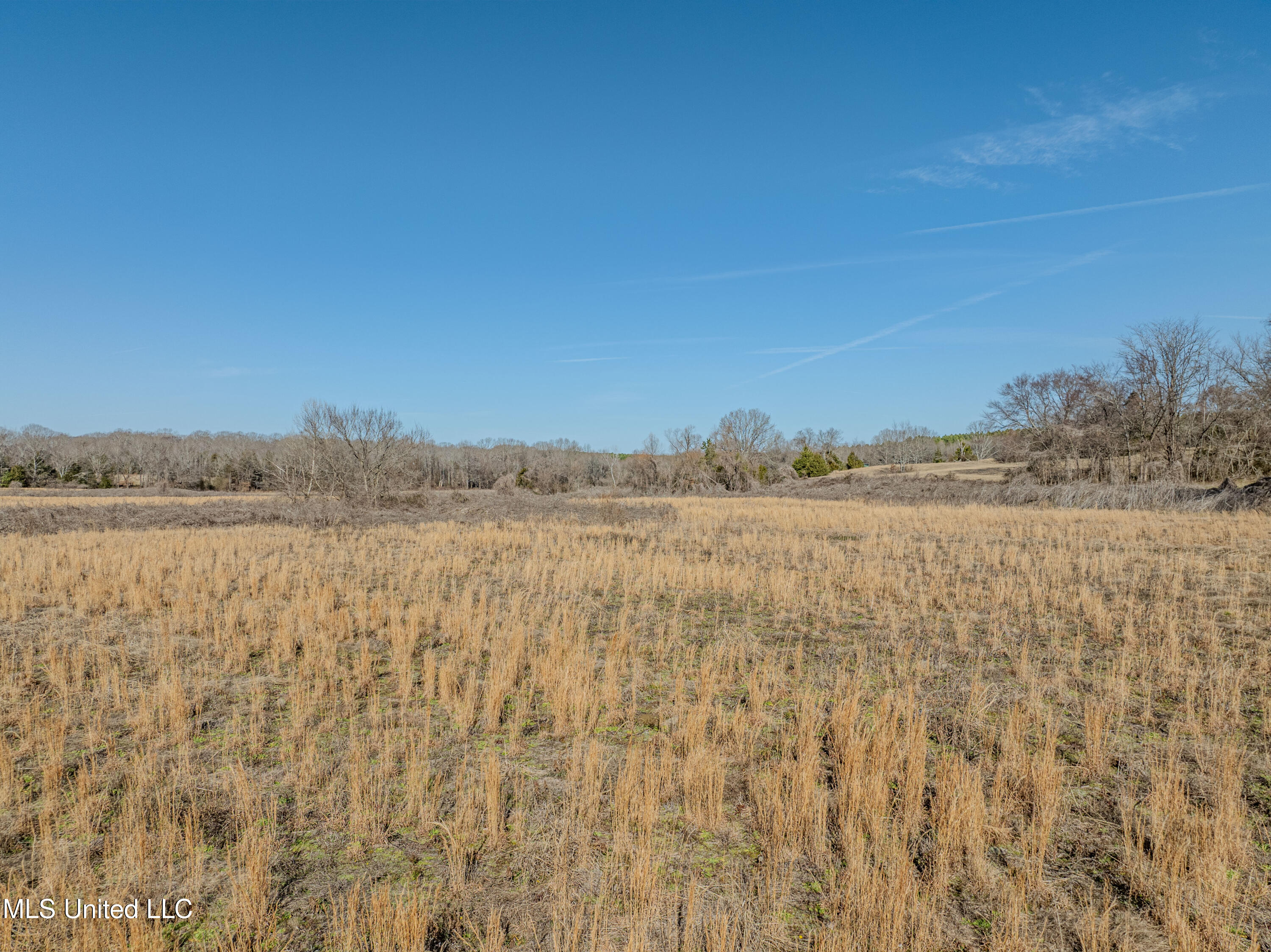 9338 Hudson Road Property Photo 8