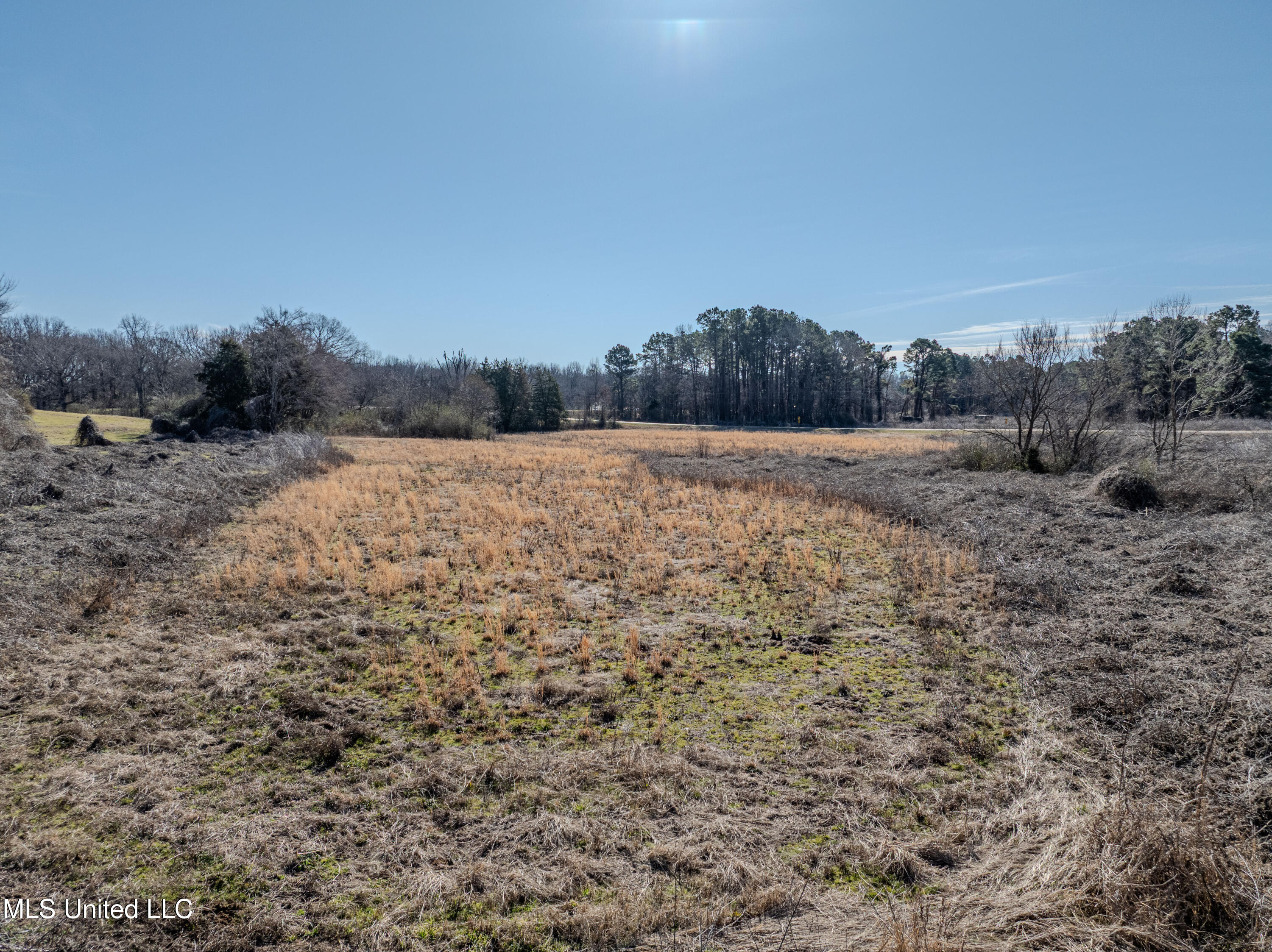 9338 Hudson Road Property Photo 9