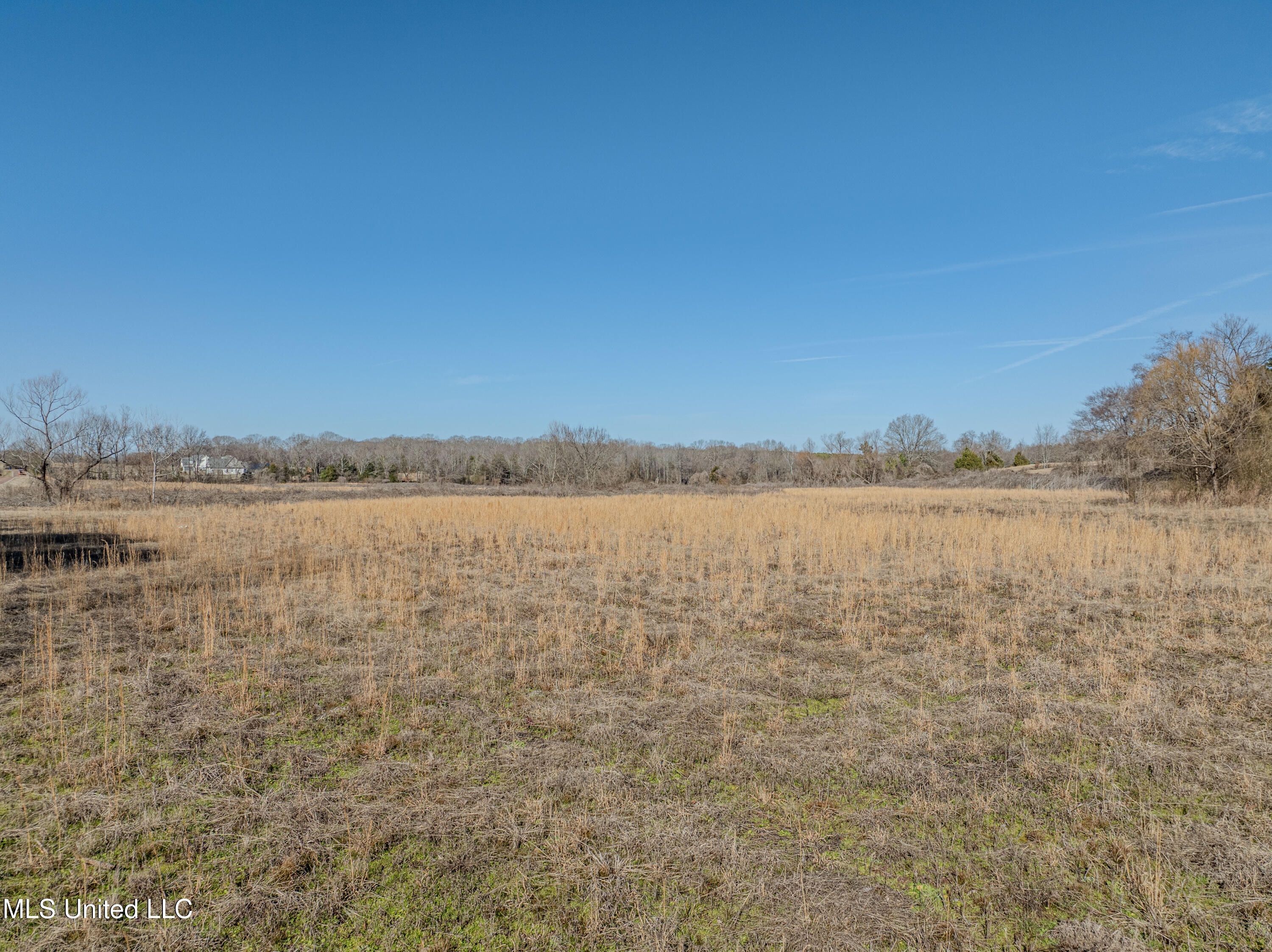 9338 Hudson Road Property Photo 10