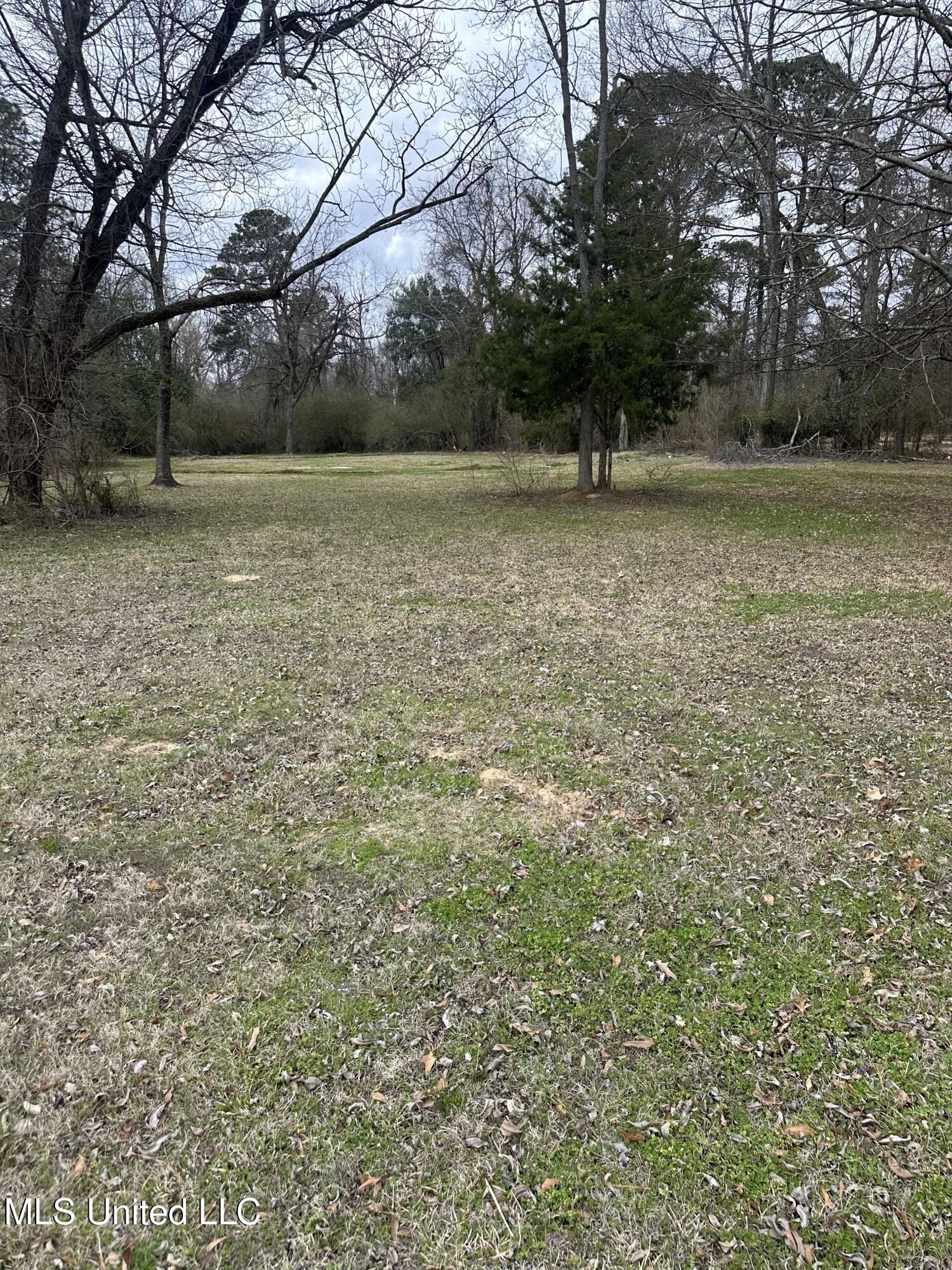 1141 Highway 51 Property Photo 1