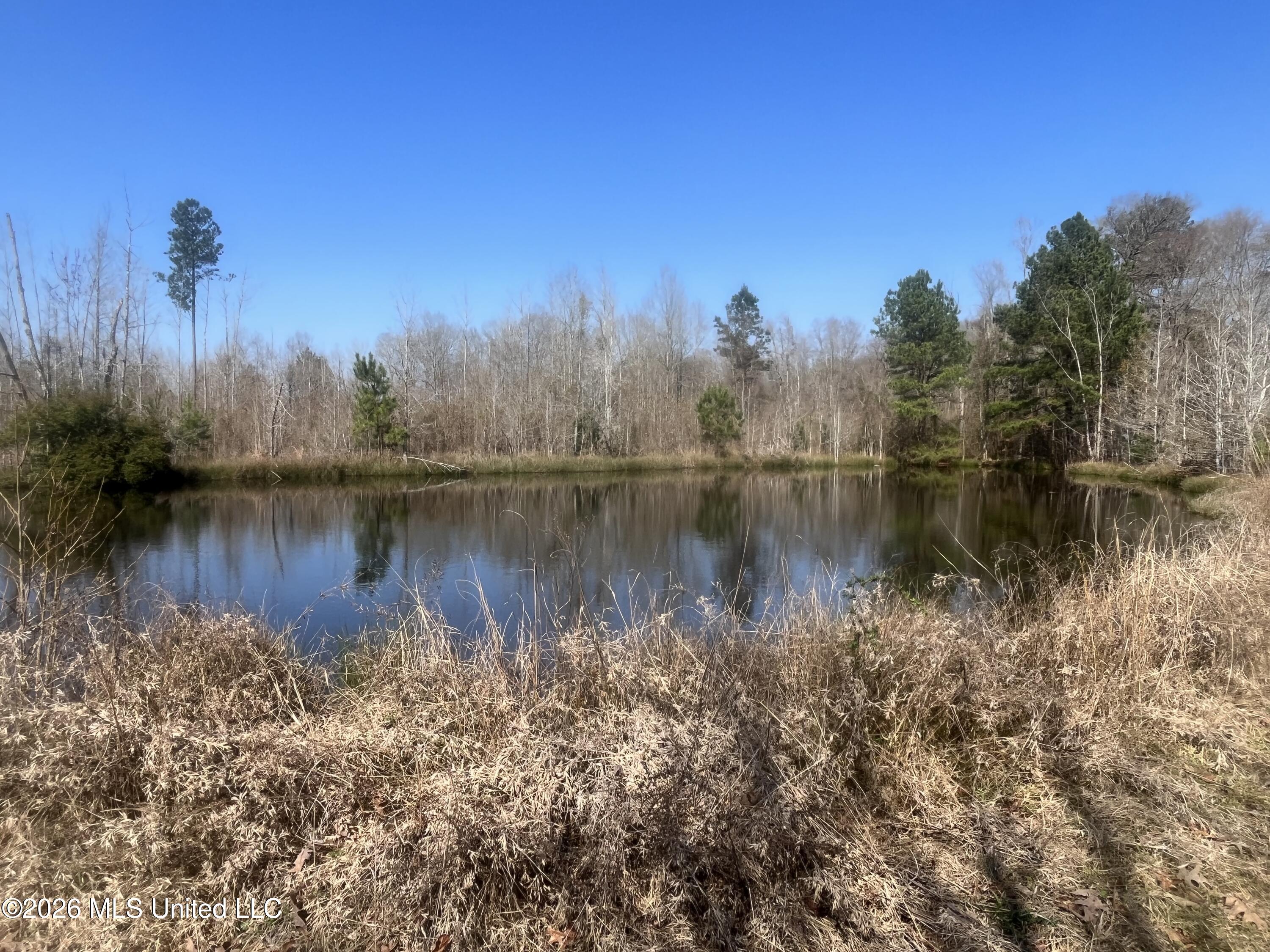 2104 Us-51 Property Photo 1