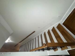 17 Bellegrass Boulevard Property Photo 5