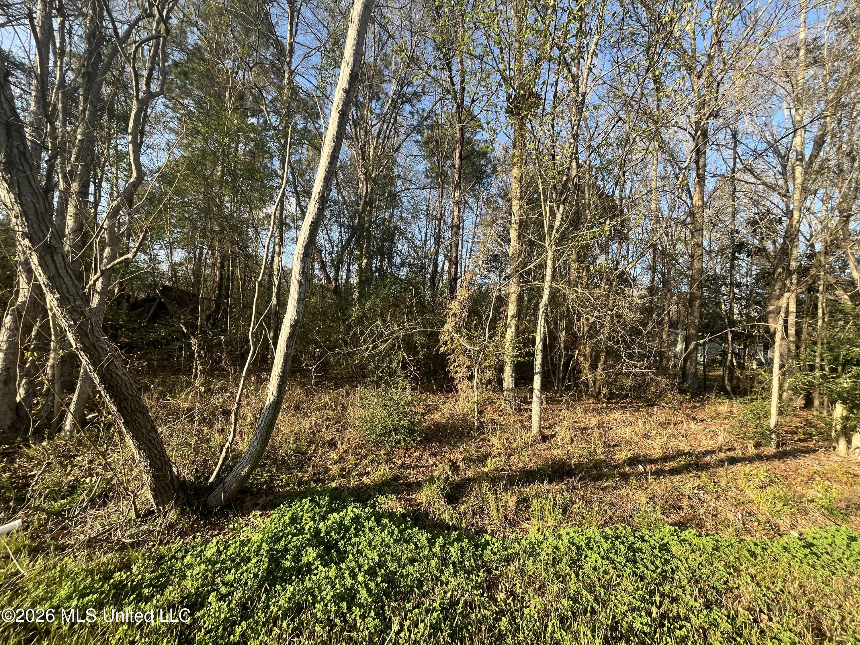 3700 Cochran Avenue Property Photo 3
