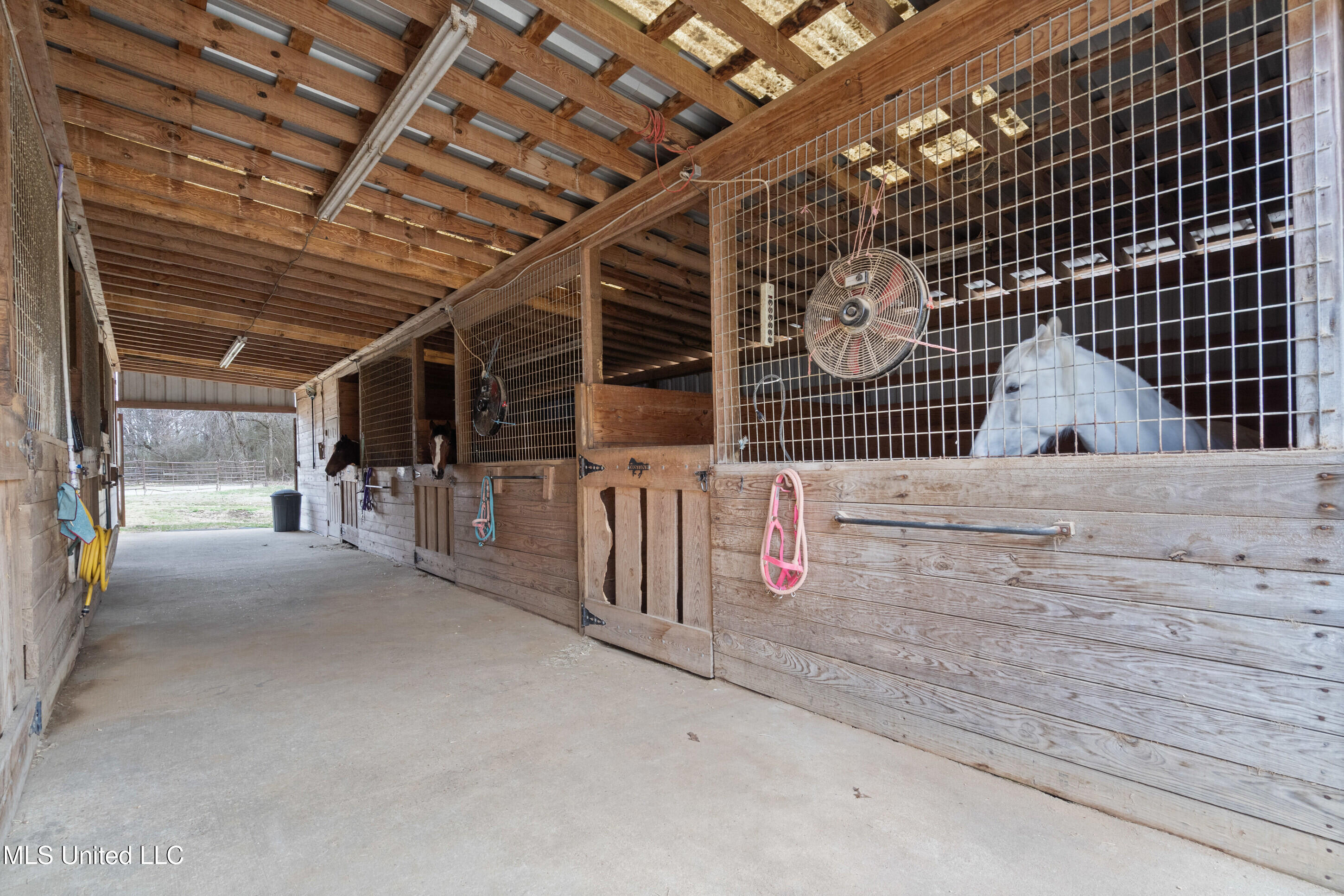9142 Mineral Wells Road Property Photo 11