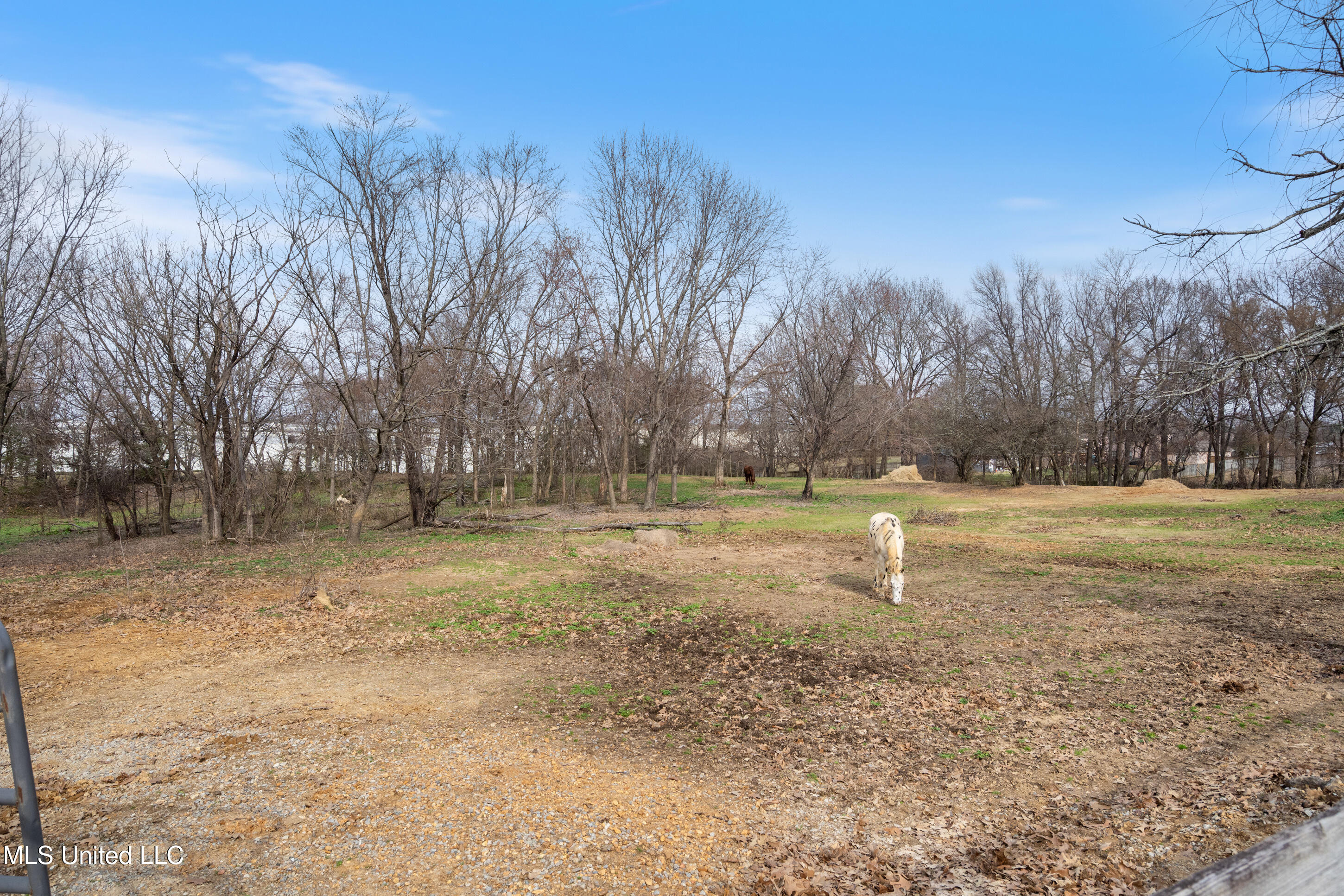 9142 Mineral Wells Road Property Photo 31