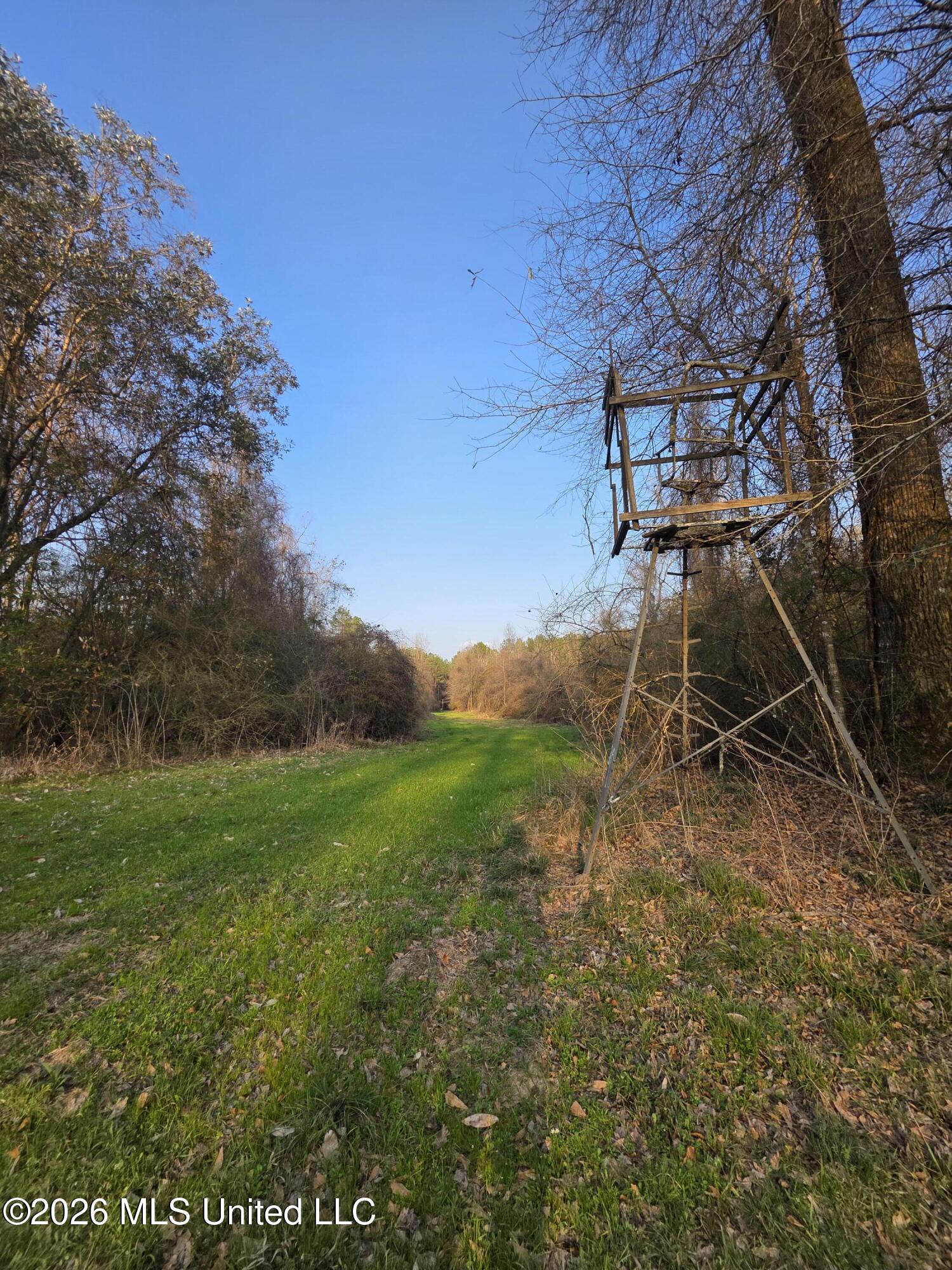 U.s. Highway 51 Property Photo 9
