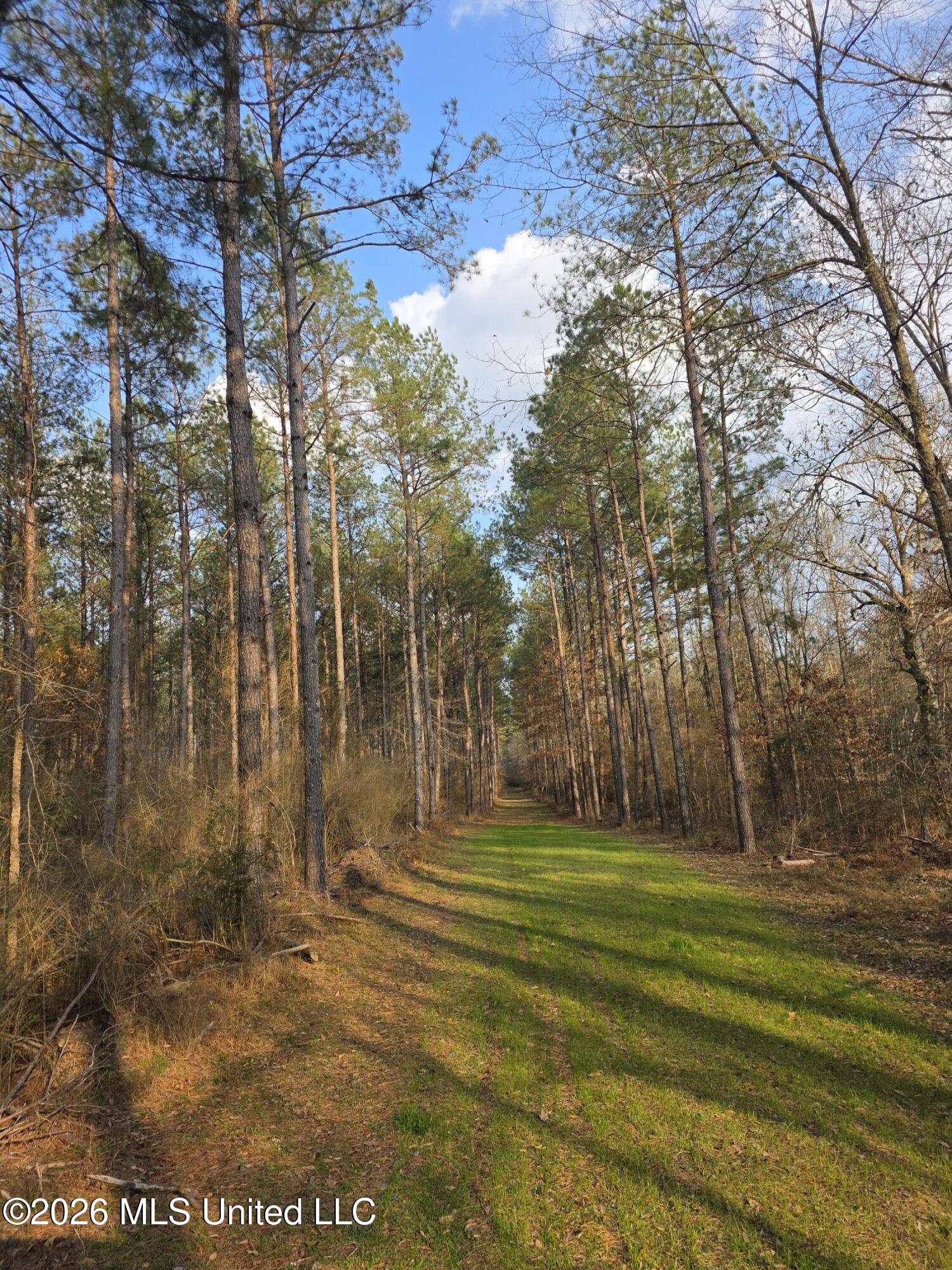 U.s. Highway 51 Property Photo 10